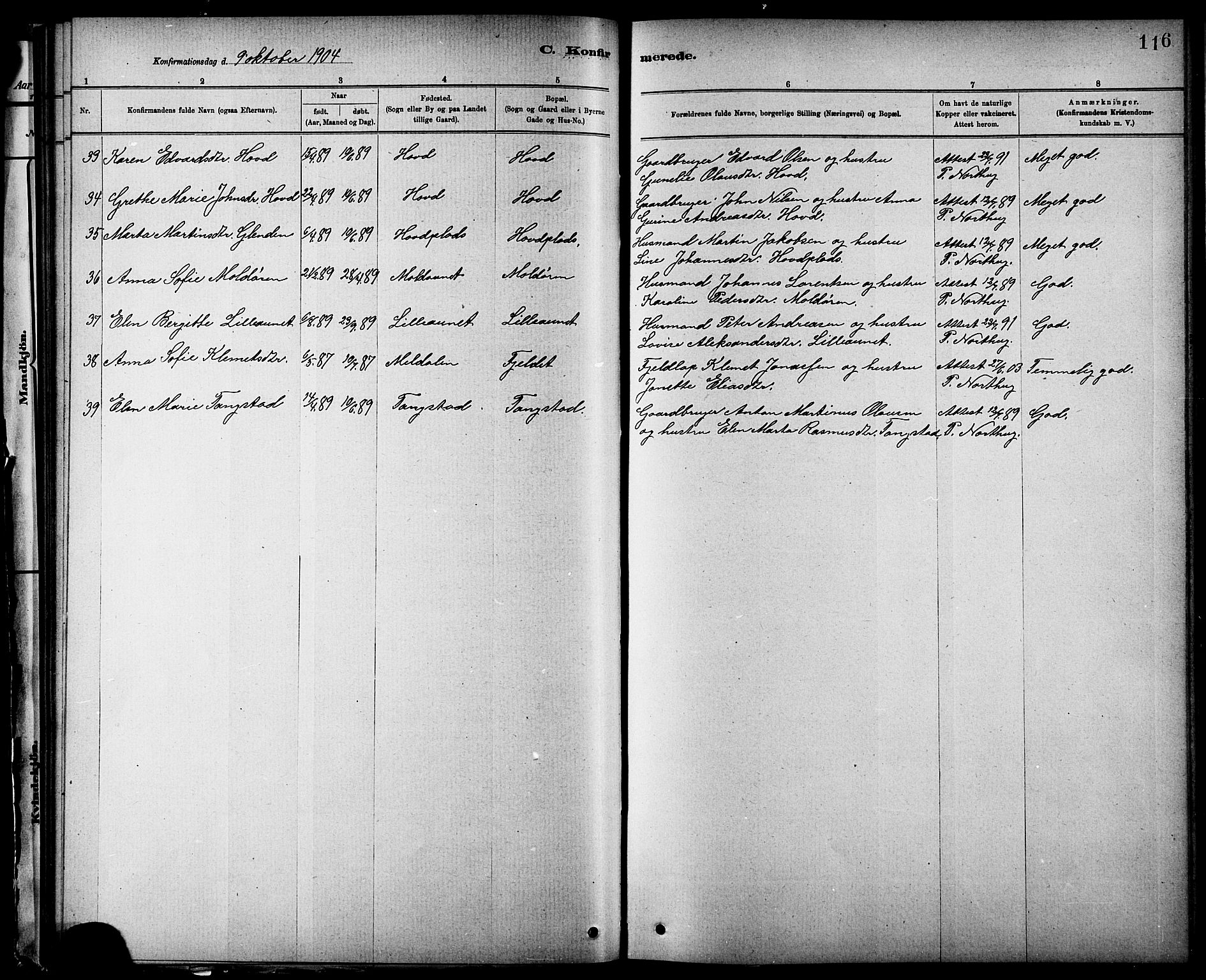 Ministerialprotokoller, klokkerbøker og fødselsregistre - Nord-Trøndelag, AV/SAT-A-1458/744/L0423: Parish register (copy) no. 744C02, 1886-1905, p. 116