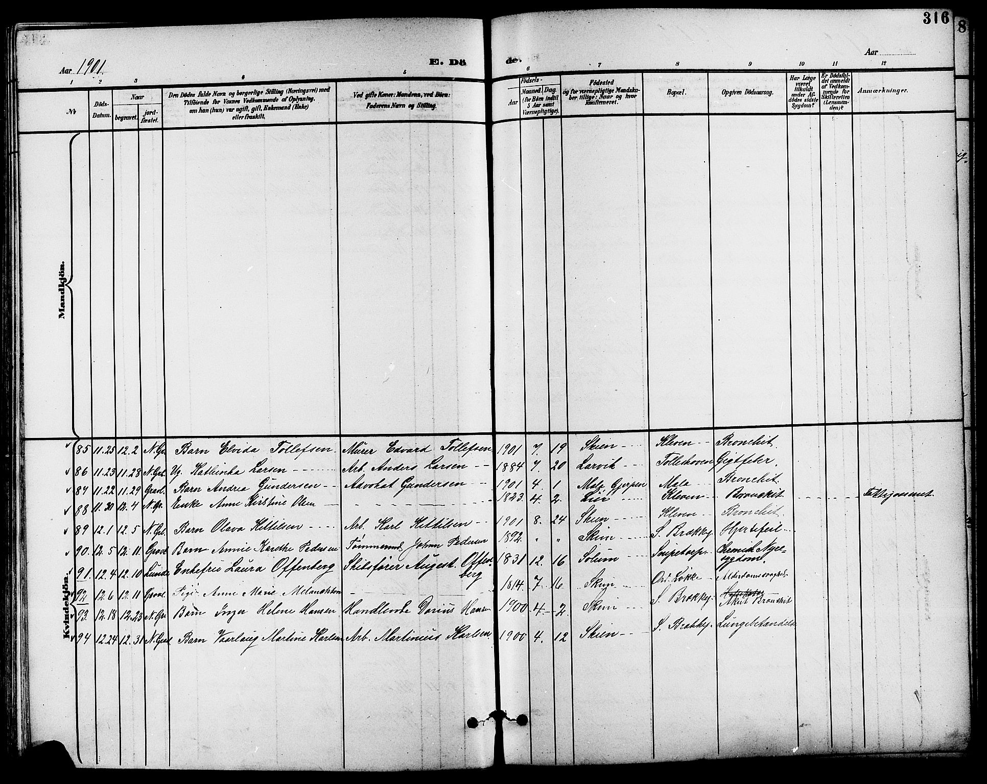 Skien kirkebøker, SAKO/A-302/G/Ga/L0008: Parish register (copy) no. 8, 1900-1910, p. 316