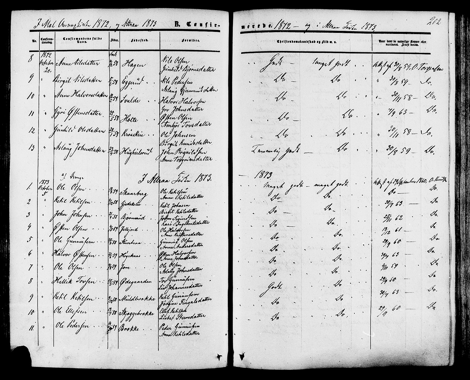 Tinn kirkebøker, SAKO/A-308/F/Fa/L0006: Parish register (official) no. I 6, 1857-1878, p. 202