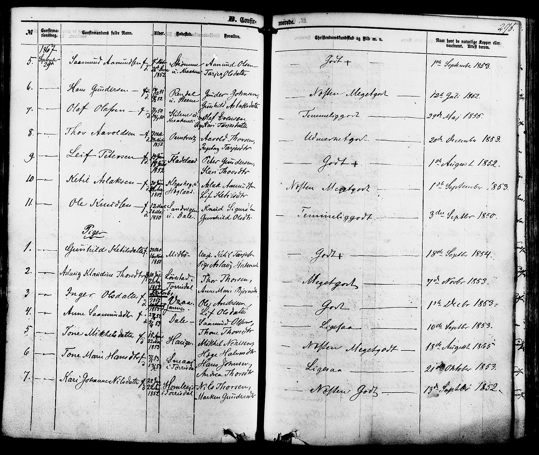 Kviteseid kirkebøker, SAKO/A-276/F/Fa/L0007: Parish register (official) no. I 7, 1859-1881, p. 295