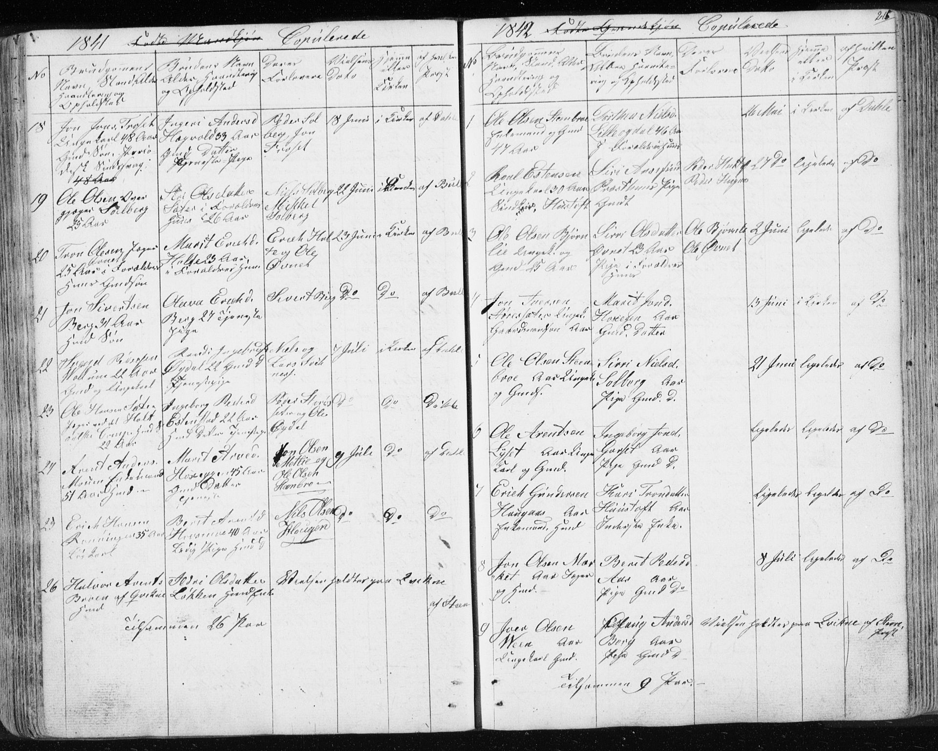 Ministerialprotokoller, klokkerbøker og fødselsregistre - Sør-Trøndelag, AV/SAT-A-1456/689/L1043: Parish register (copy) no. 689C02, 1816-1892, p. 215