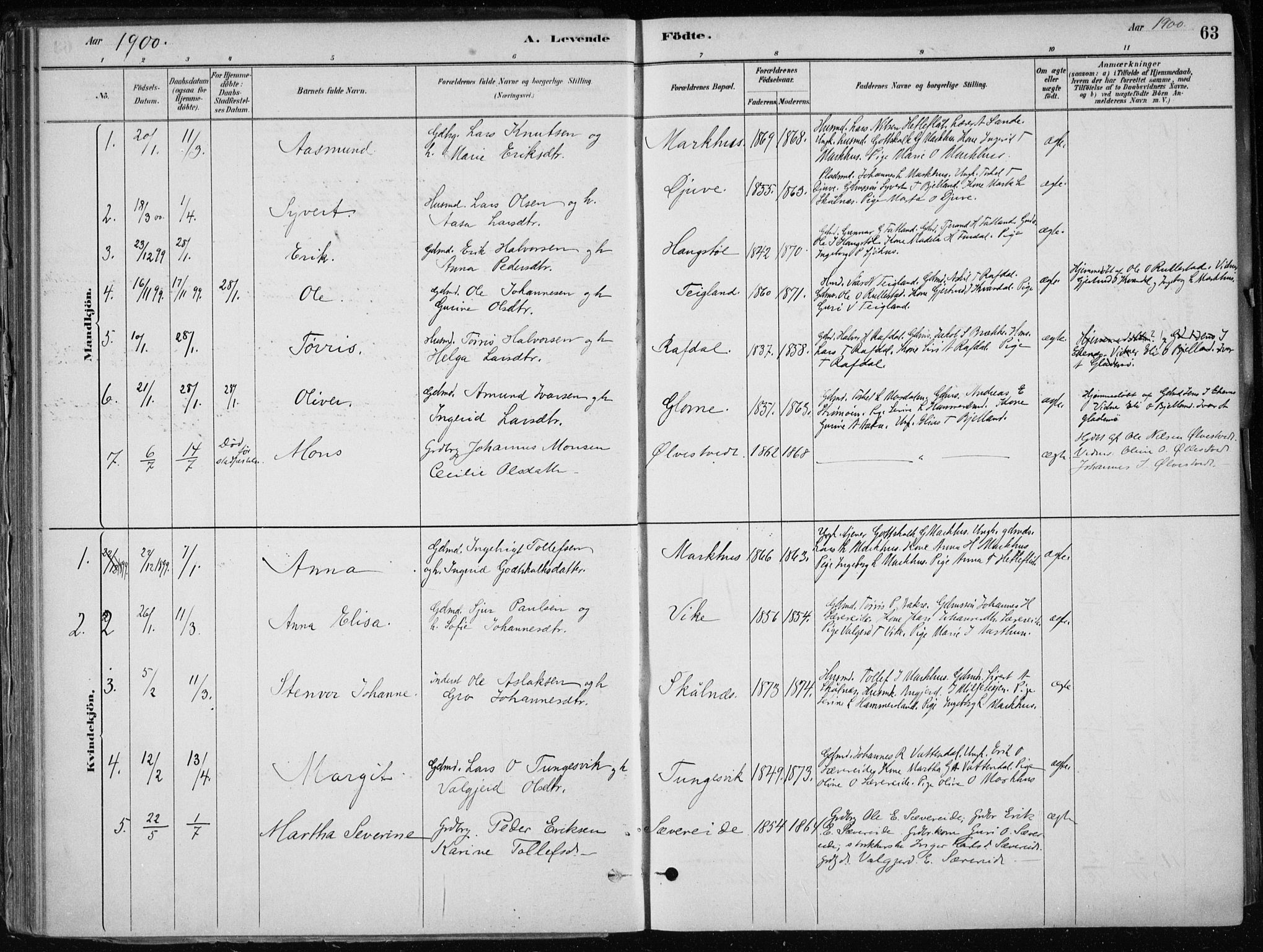Skånevik sokneprestembete, SAB/A-77801/H/Haa: Parish register (official) no. E  1, 1879-1901, p. 63
