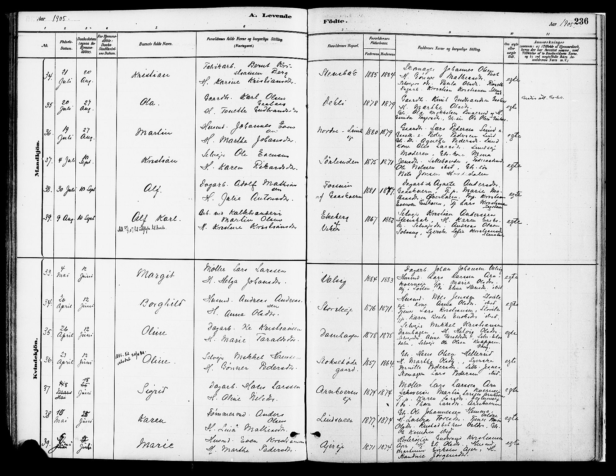 Vang prestekontor, Hedmark, AV/SAH-PREST-008/H/Ha/Haa/L0018A: Parish register (official) no. 18A, 1880-1906, p. 236