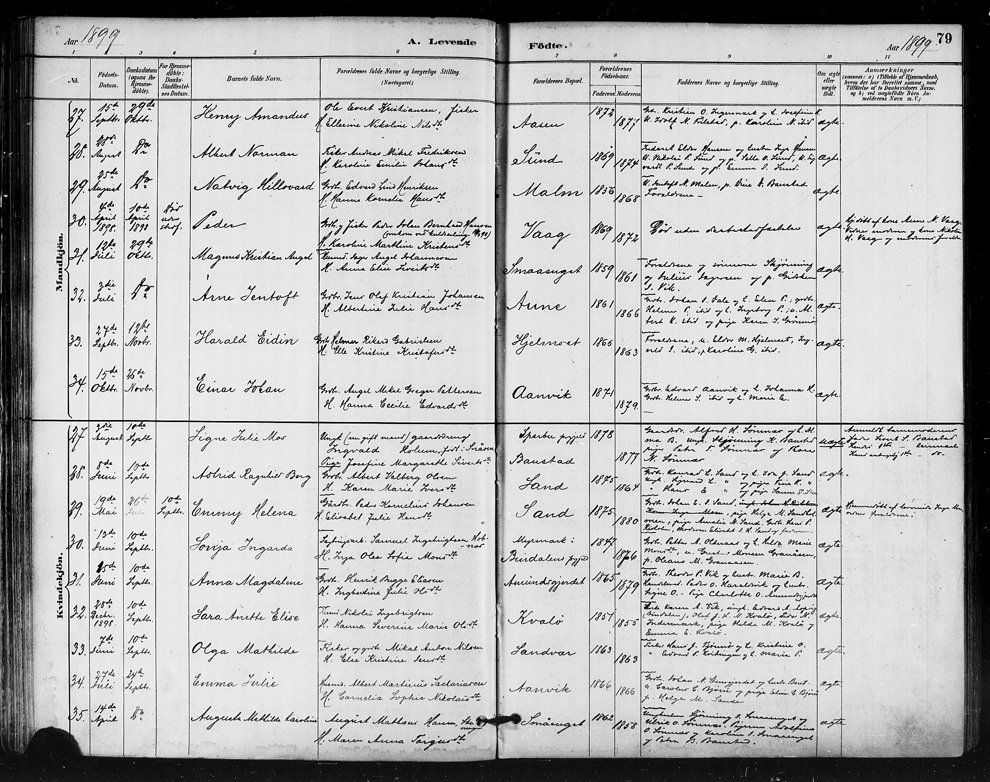 Ministerialprotokoller, klokkerbøker og fødselsregistre - Nordland, AV/SAT-A-1459/812/L0178: Parish register (official) no. 812A07, 1886-1900, p. 79