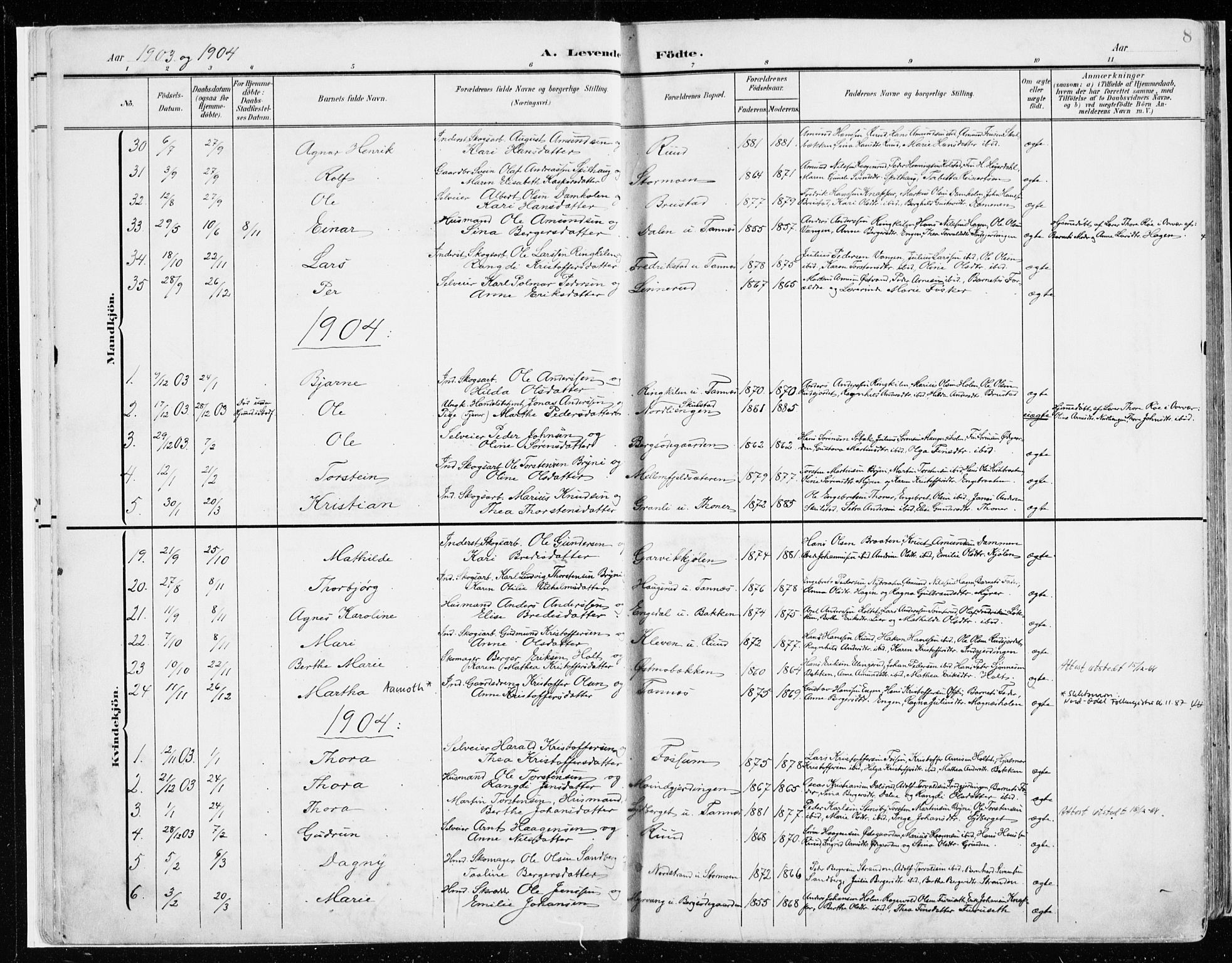 Nord-Odal prestekontor, SAH/PREST-032/H/Ha/Haa/L0009: Parish register (official) no. 9, 1902-1926, p. 8