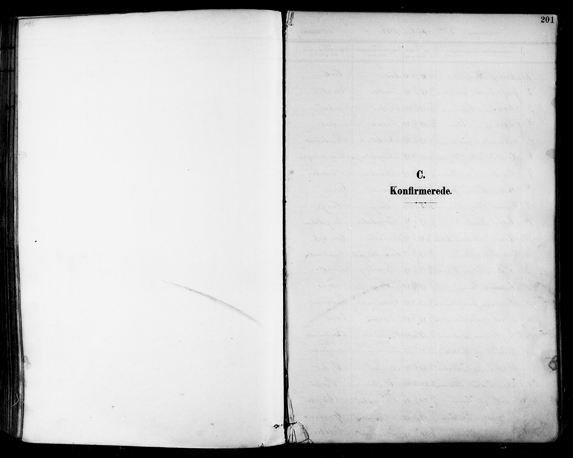 Tune prestekontor Kirkebøker, AV/SAO-A-2007/F/Fa/L0019: Parish register (official) no. 19, 1898-1904, p. 201