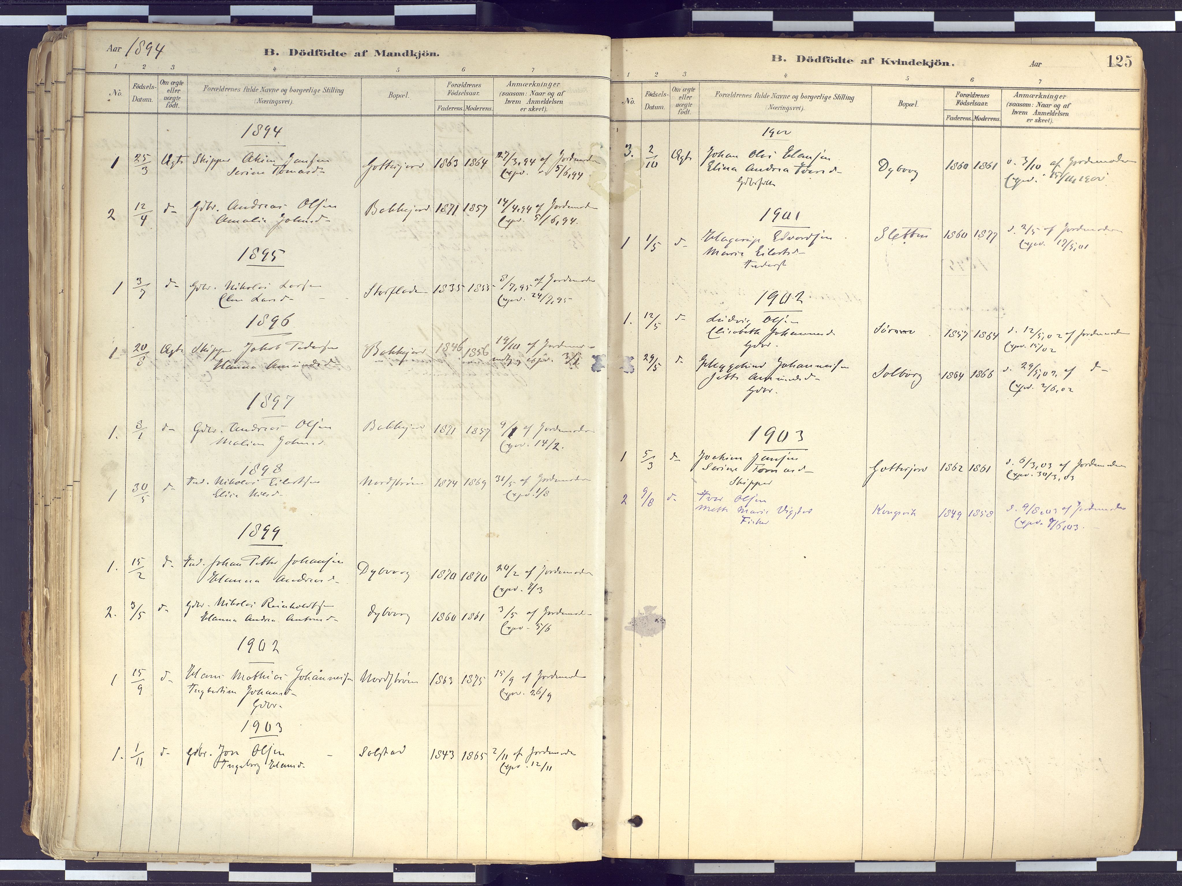 Tranøy sokneprestkontor, SATØ/S-1313/I/Ia/Iaa/L0010kirke: Parish register (official) no. 10, 1878-1904, p. 125