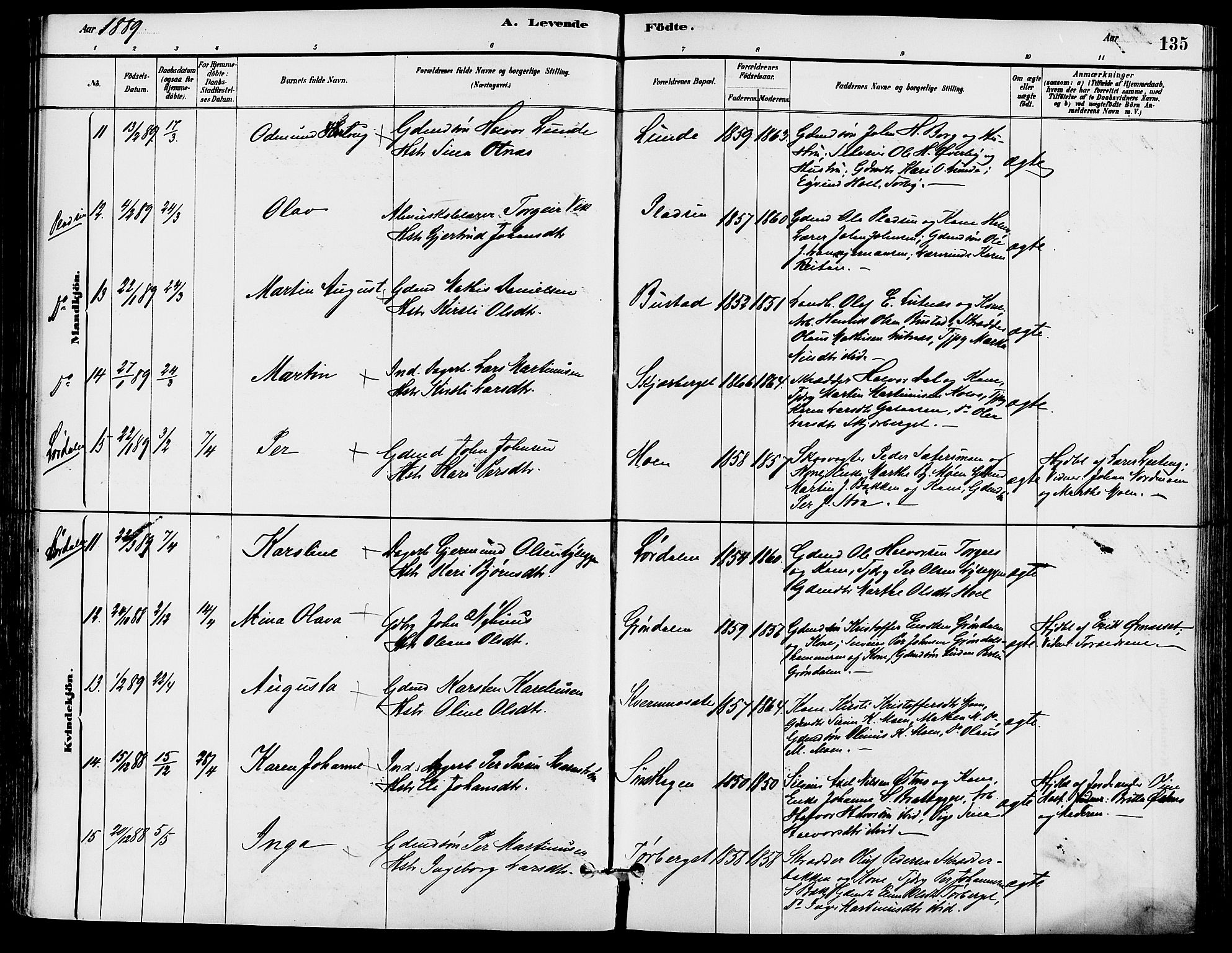 Trysil prestekontor, AV/SAH-PREST-046/H/Ha/Haa/L0008: Parish register (official) no. 8, 1881-1897, p. 135