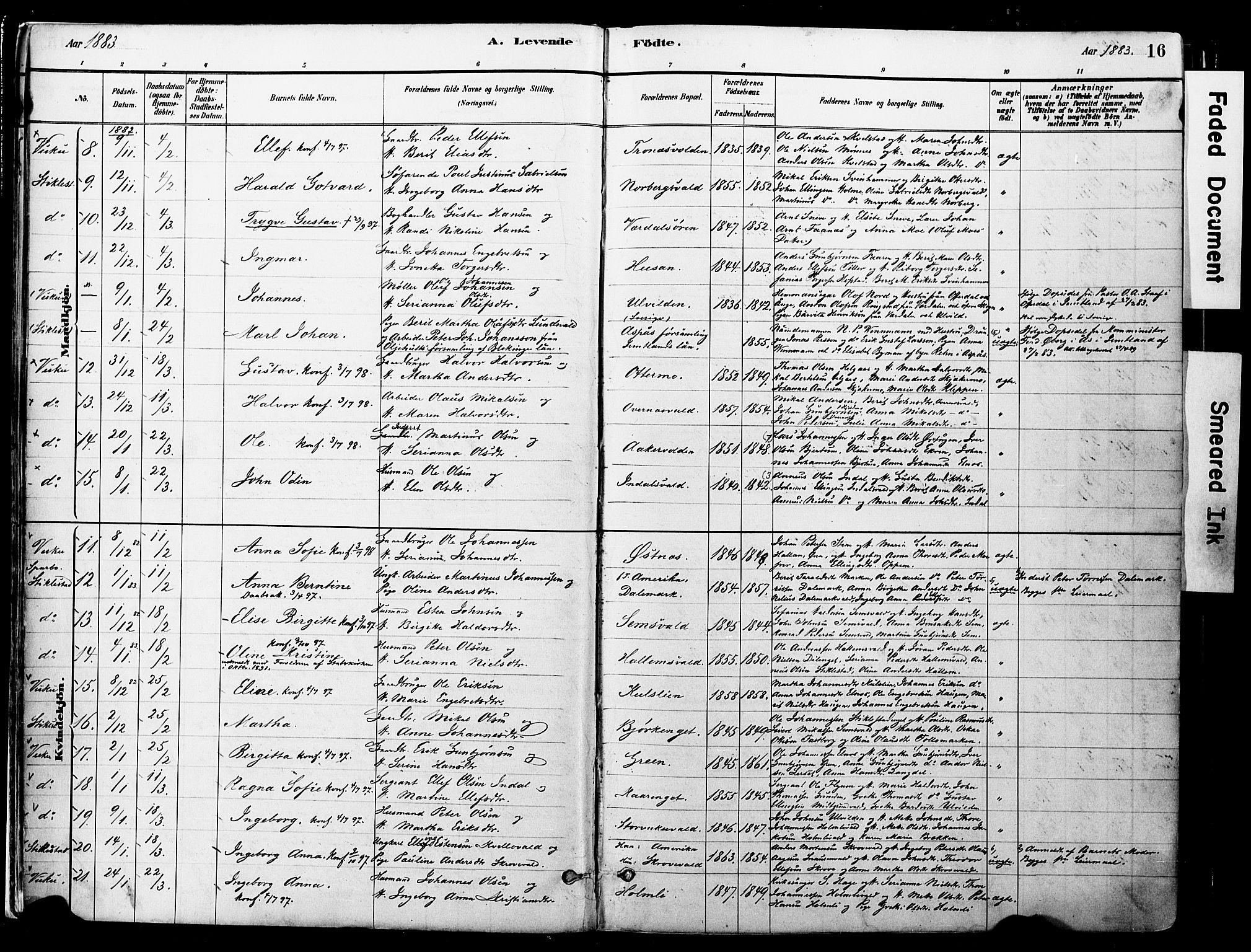 Ministerialprotokoller, klokkerbøker og fødselsregistre - Nord-Trøndelag, SAT/A-1458/723/L0244: Parish register (official) no. 723A13, 1881-1899, p. 16