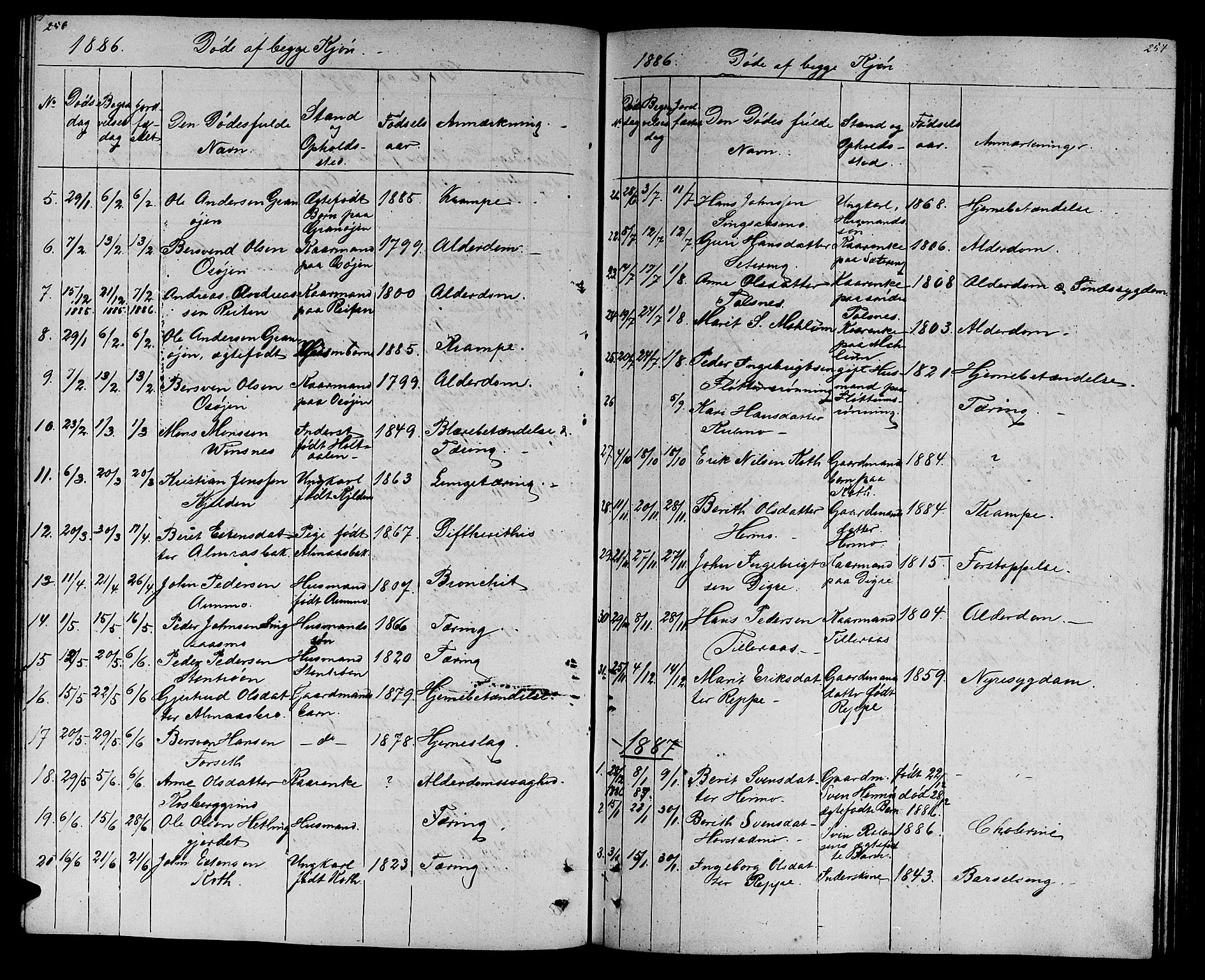 Ministerialprotokoller, klokkerbøker og fødselsregistre - Sør-Trøndelag, AV/SAT-A-1456/688/L1027: Parish register (copy) no. 688C02, 1861-1889, p. 256-257