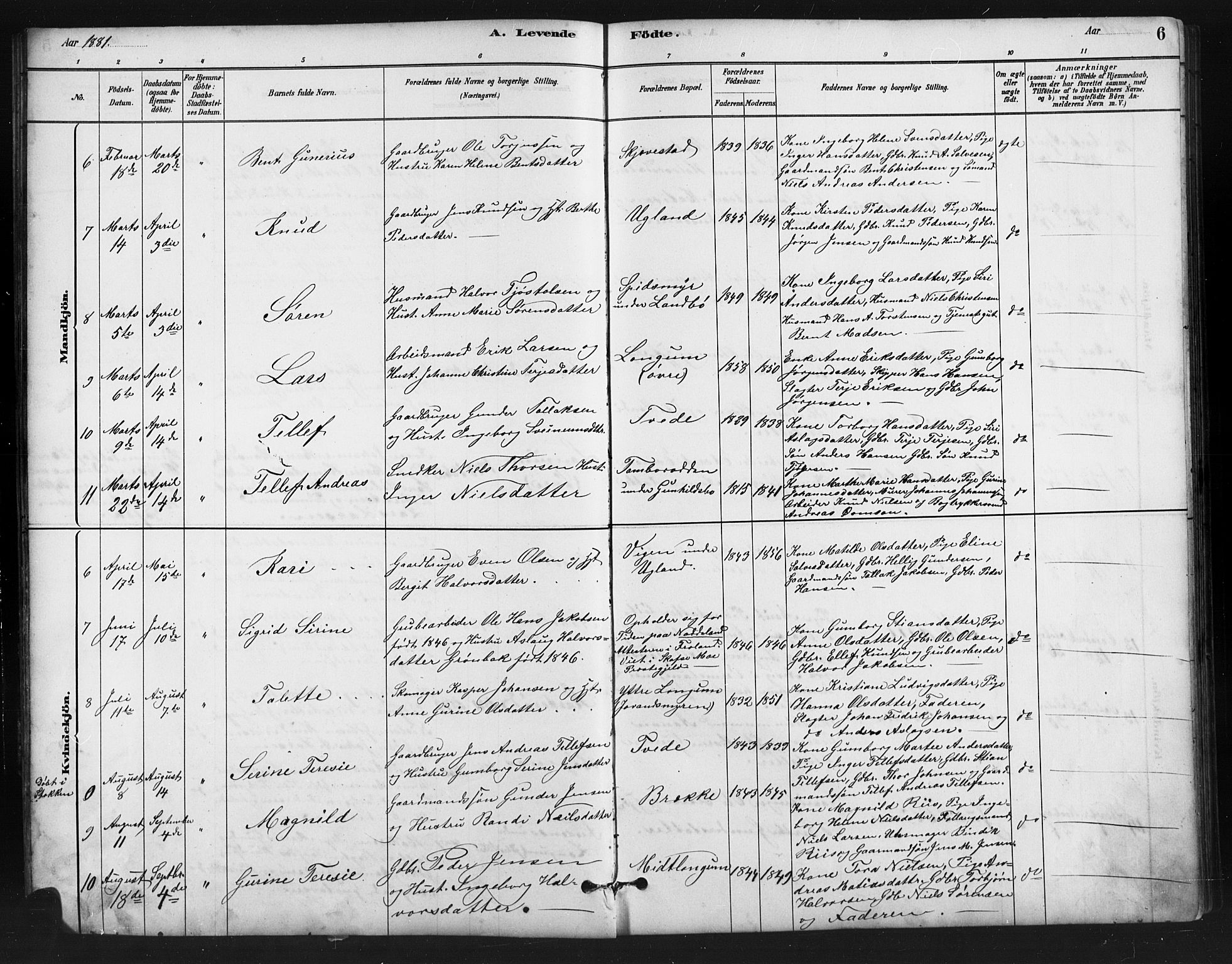 Austre Moland sokneprestkontor, SAK/1111-0001/F/Fb/Fba/L0003: Parish register (copy) no. B 3, 1879-1914, p. 6