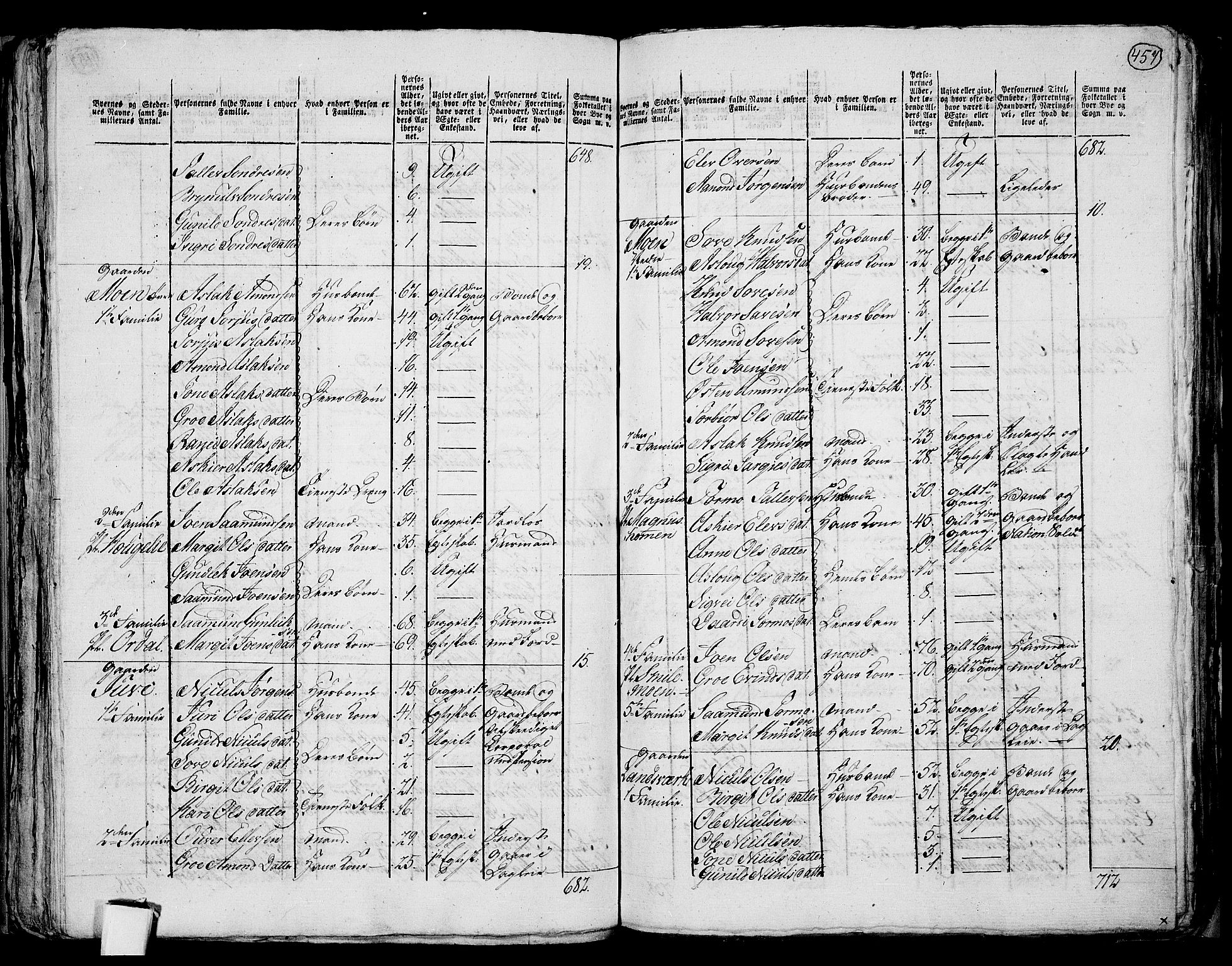 RA, 1801 census for 0829P Kviteseid, 1801, p. 456b-457a