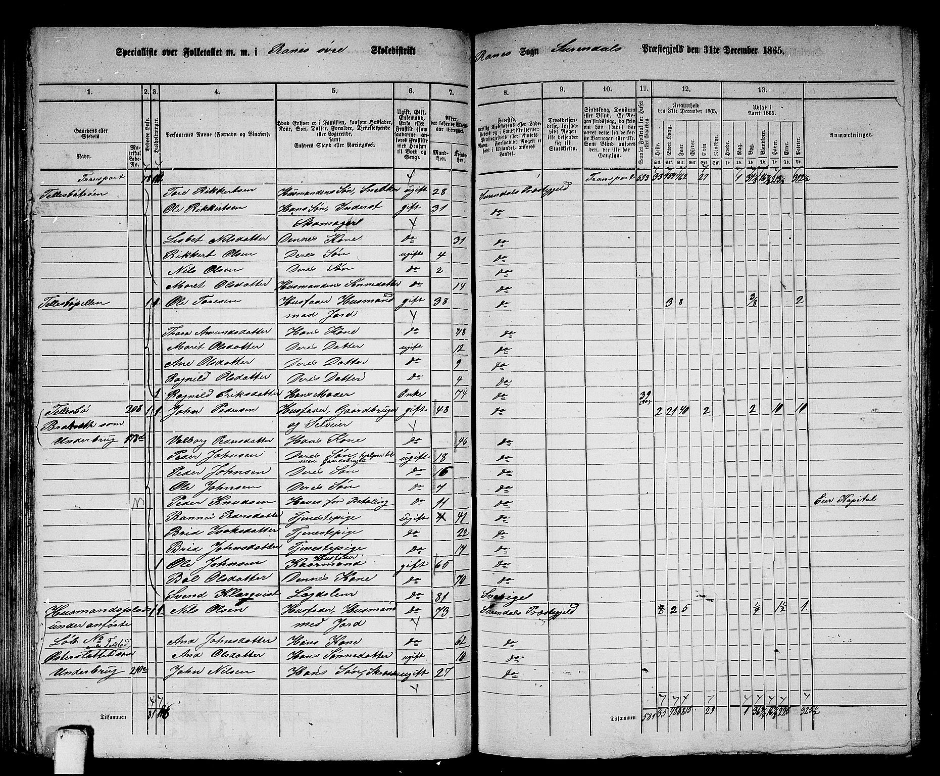 RA, 1865 census for Surnadal, 1865, p. 75