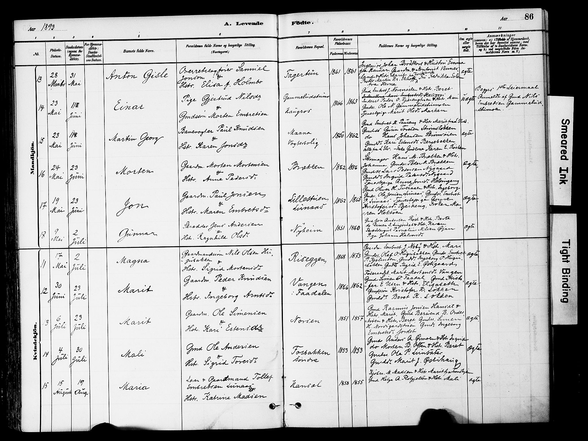 Tynset prestekontor, AV/SAH-PREST-058/H/Ha/Haa/L0022: Parish register (official) no. 22, 1880-1899, p. 86