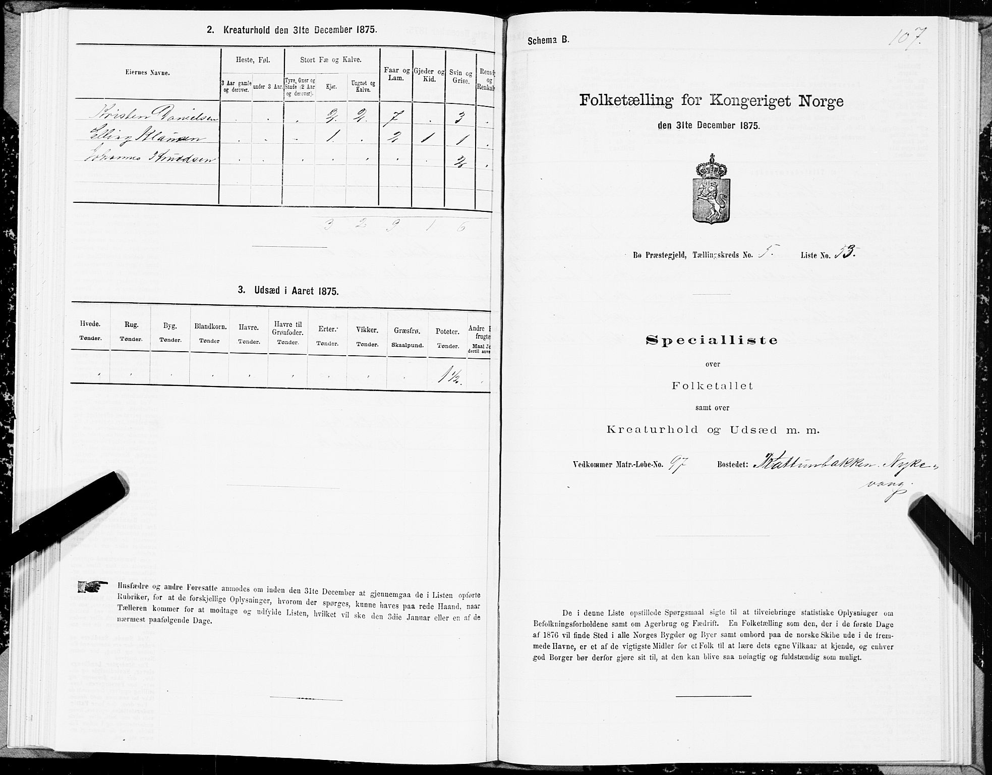 SAT, 1875 census for 1867P Bø, 1875, p. 3107