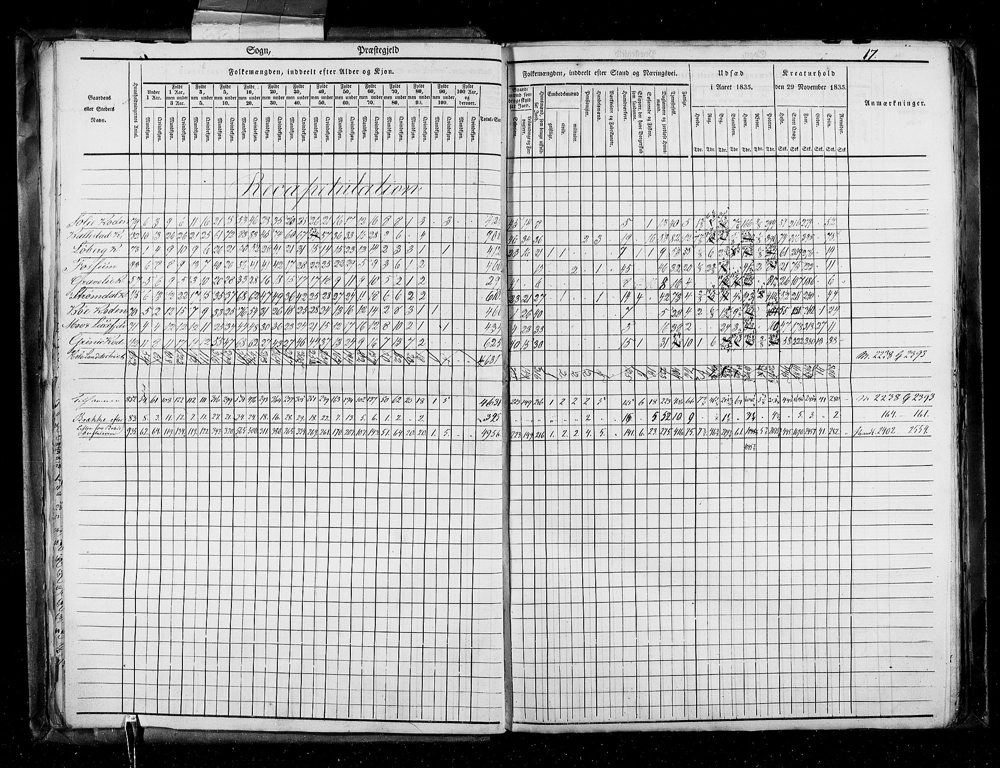 RA, Census 1835, vol. 5: Bratsberg amt og Nedenes og Råbyggelaget amt, 1835, p. 17