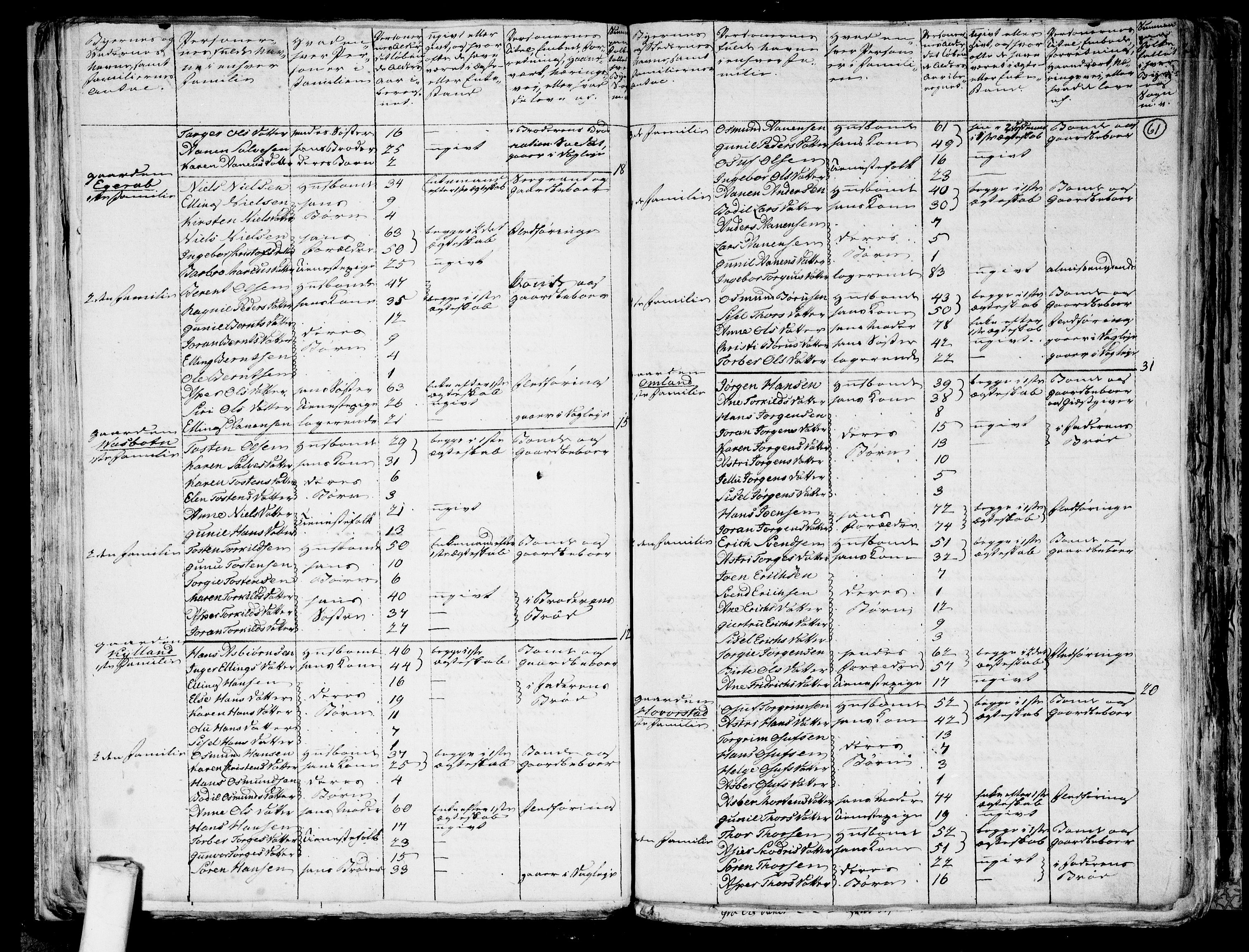 RA, 1801 census for 1024P Bjelland, 1801, p. 60b-61a