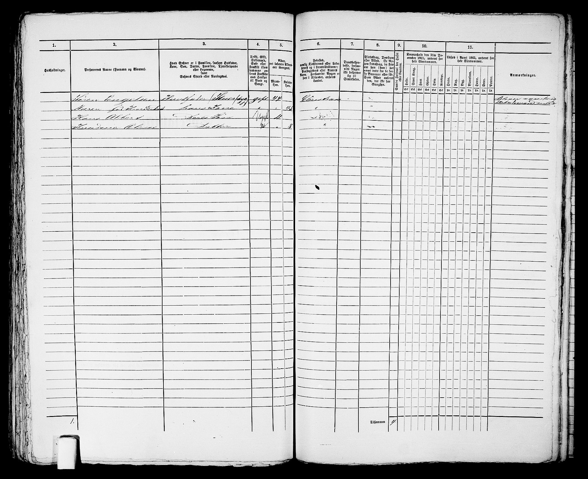 RA, 1865 census for Kristiansand, 1865, p. 458