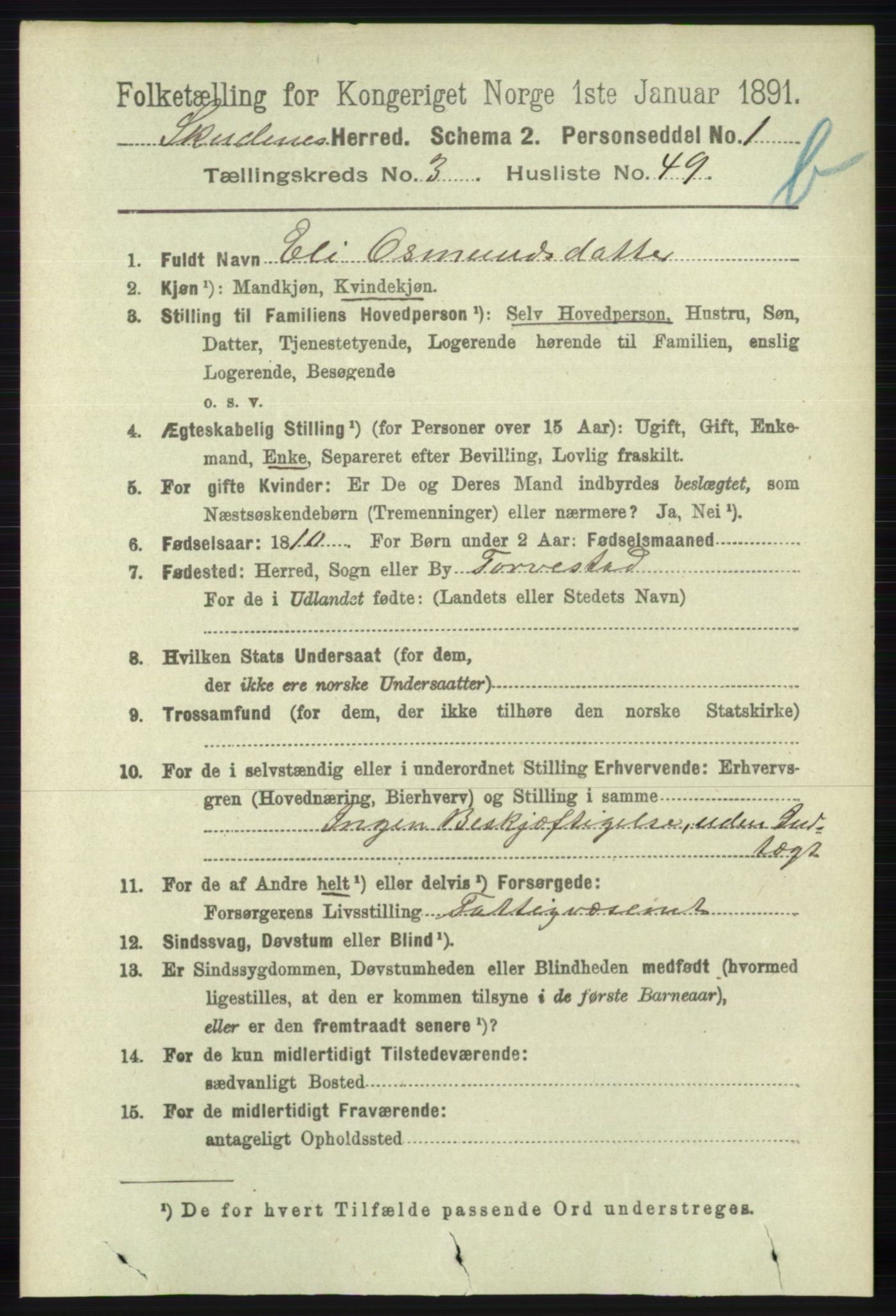 RA, 1891 census for 1150 Skudenes, 1891, p. 4255