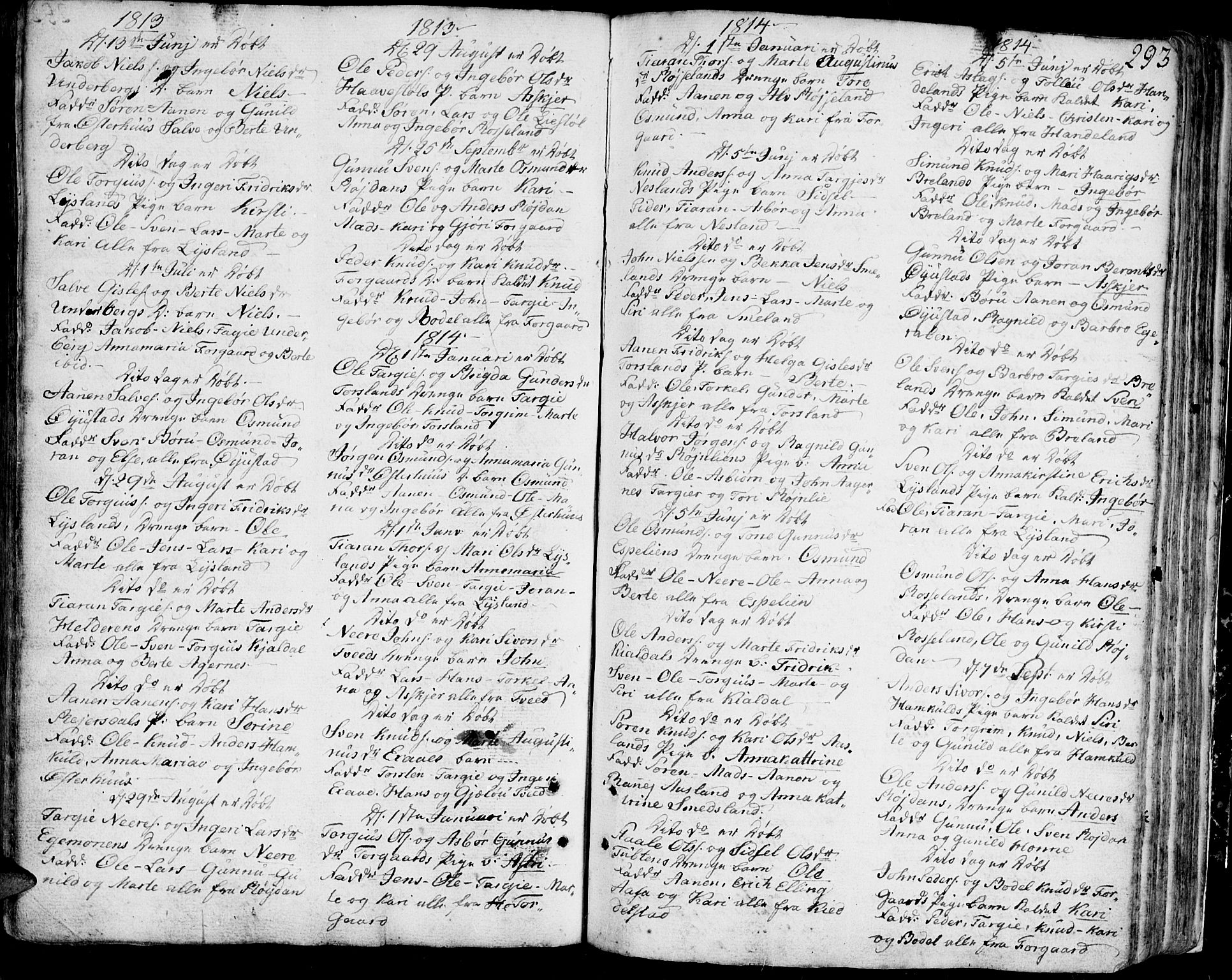 Bjelland sokneprestkontor, SAK/1111-0005/F/Fa/Faa/L0001: Parish register (official) no. A 1 /4, 1793-1815, p. 293