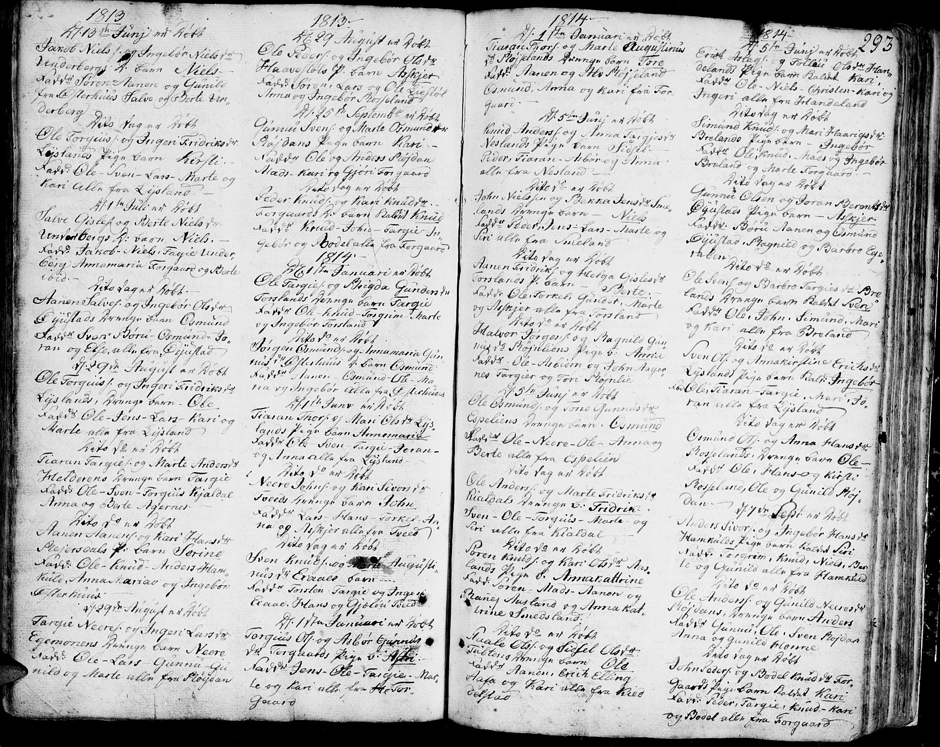 Bjelland sokneprestkontor, AV/SAK-1111-0005/F/Fa/Faa/L0001: Parish register (official) no. A 1 /4, 1793-1815, p. 293