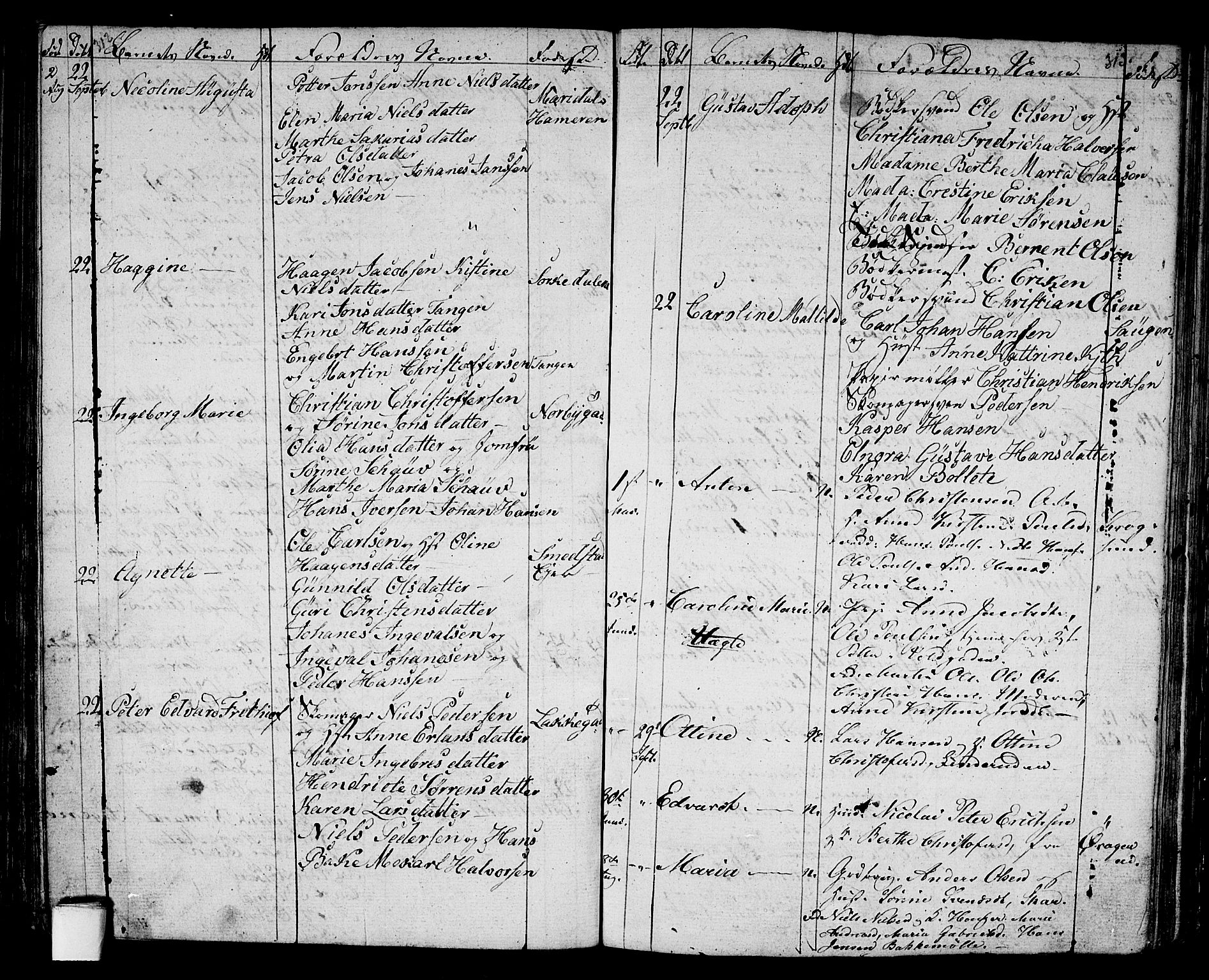 Aker prestekontor kirkebøker, AV/SAO-A-10861/G/L0007: Parish register (copy) no. 7, 1838-1846, p. 312-313