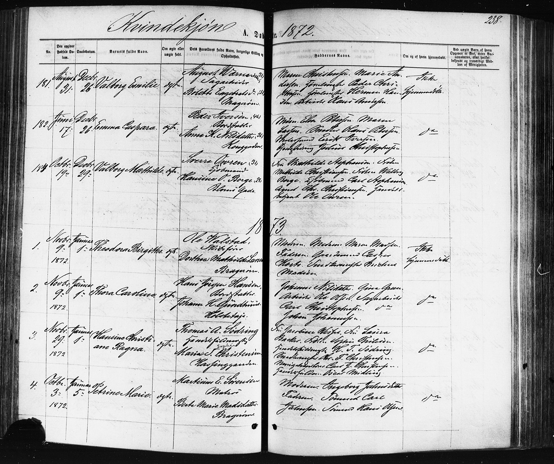 Bragernes kirkebøker, AV/SAKO-A-6/F/Fb/L0004: Parish register (official) no. II 4, 1869-1875, p. 238