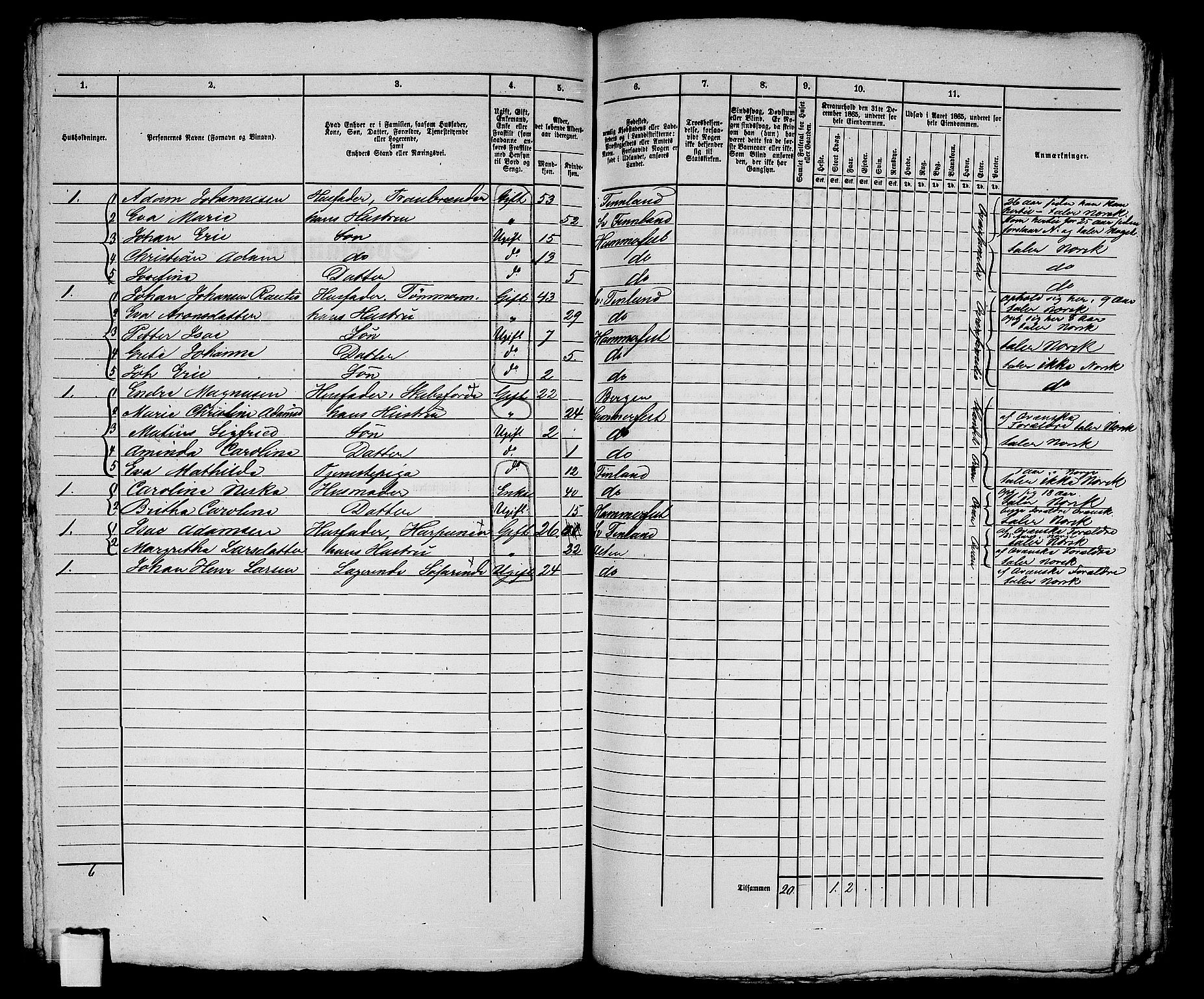 RA, 1865 census for Hammerfest/Hammerfest, 1865, p. 246