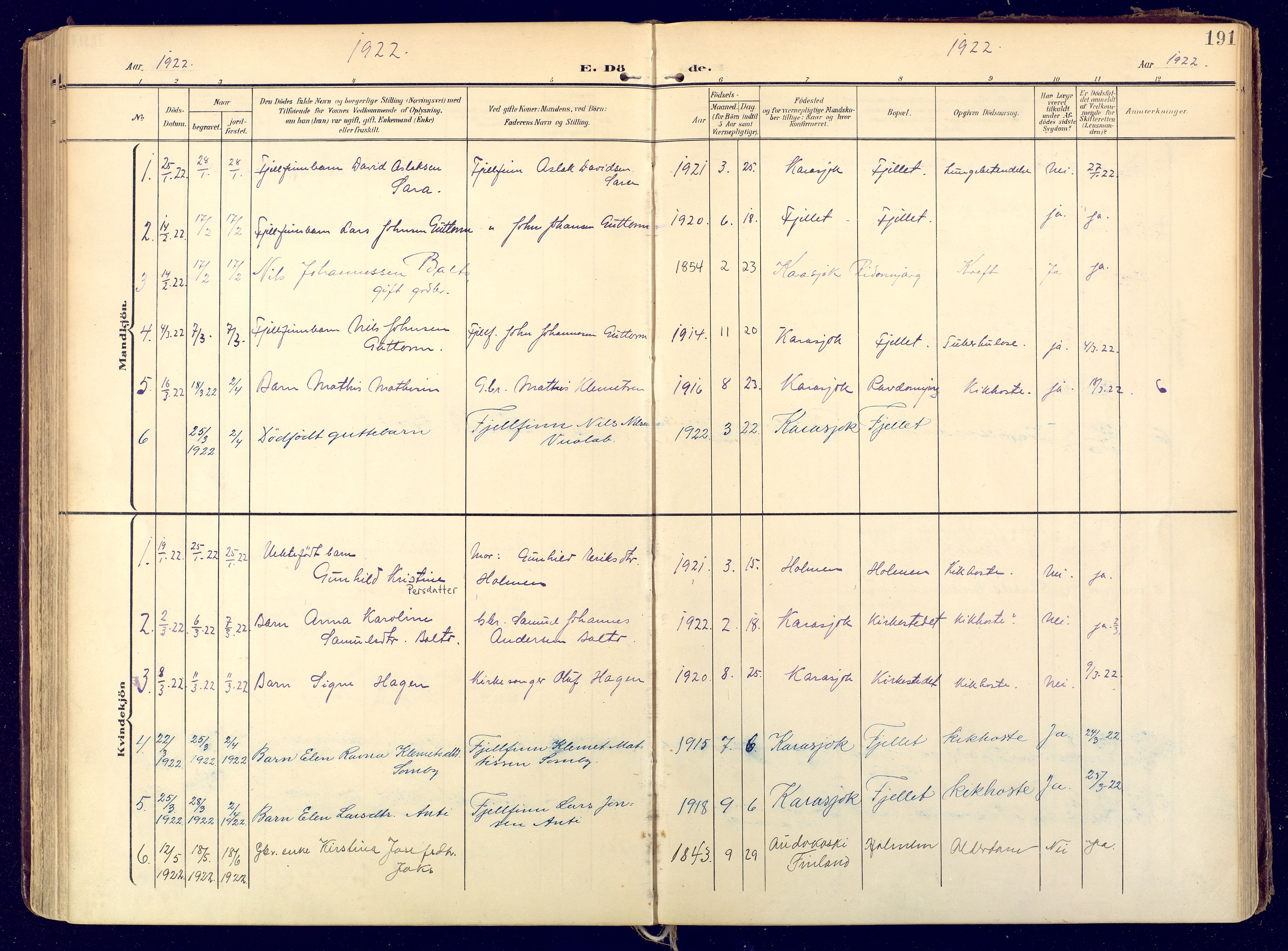 Karasjok sokneprestkontor, SATØ/S-1352/H/Ha: Parish register (official) no. 3, 1907-1926, p. 191