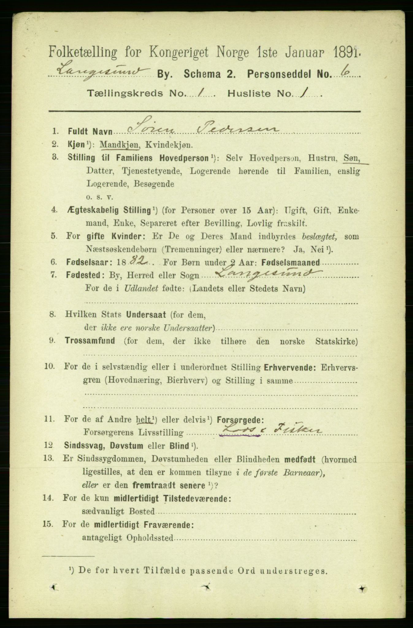 RA, 1891 census for 0802 Langesund, 1891, p. 508