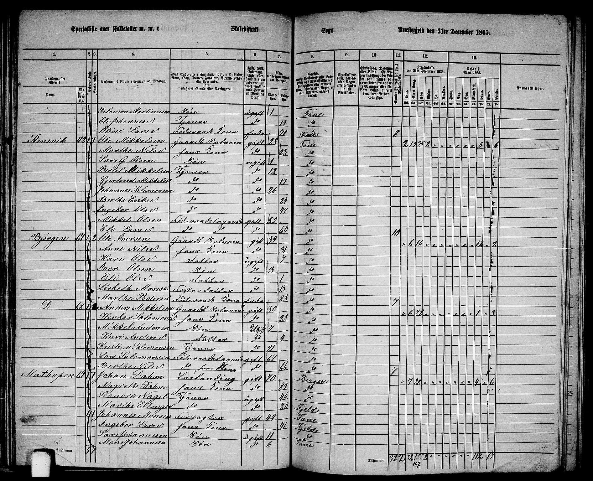 RA, 1865 census for Fana, 1865, p. 55