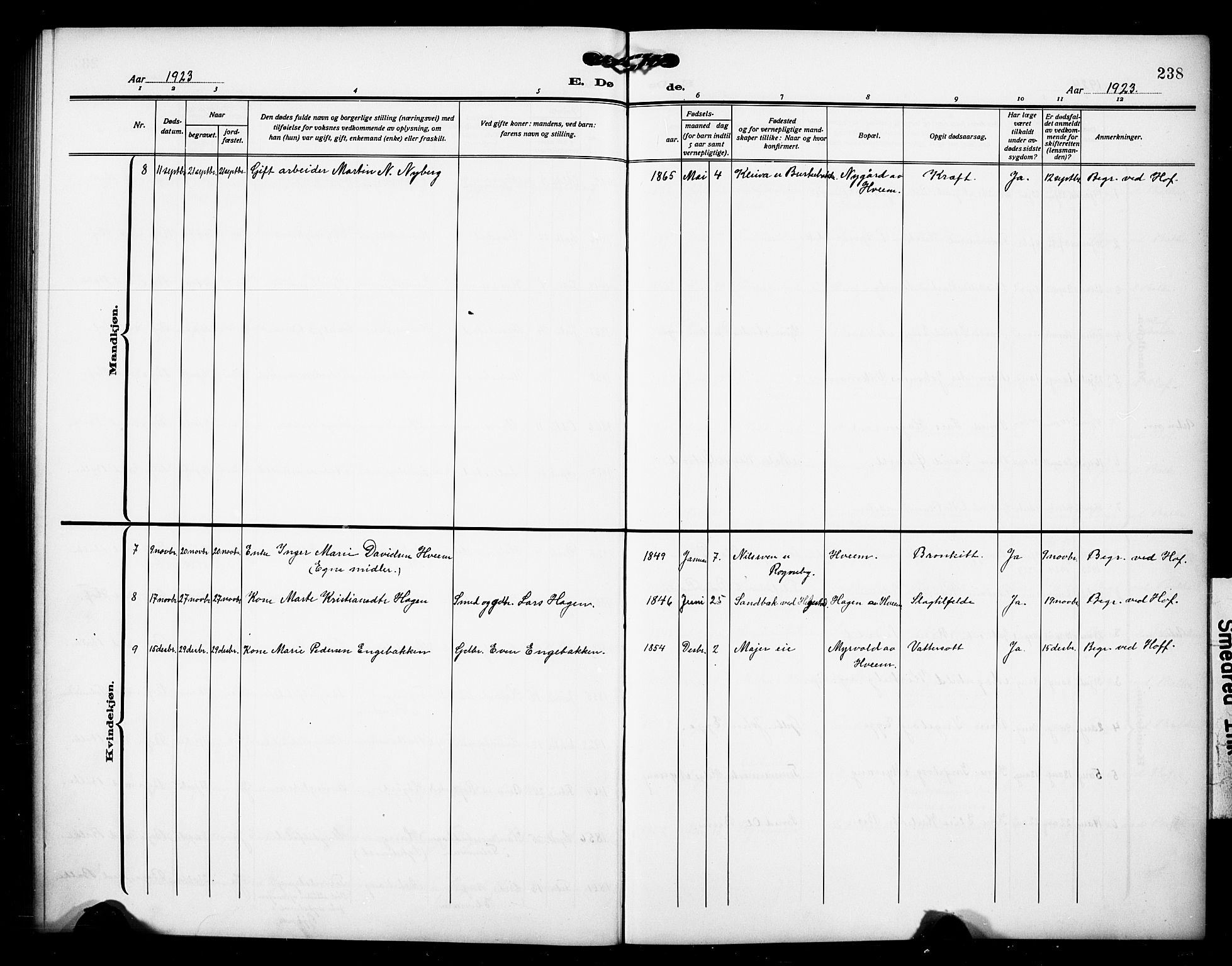 Østre Toten prestekontor, AV/SAH-PREST-104/H/Ha/Hab/L0008: Parish register (copy) no. 8, 1913-1929, p. 238