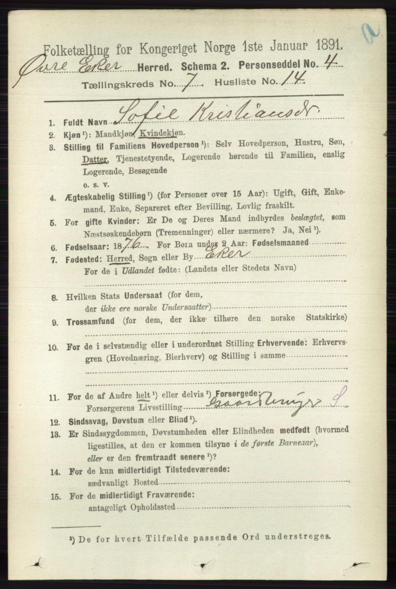 RA, 1891 census for 0624 Øvre Eiker, 1891, p. 2739