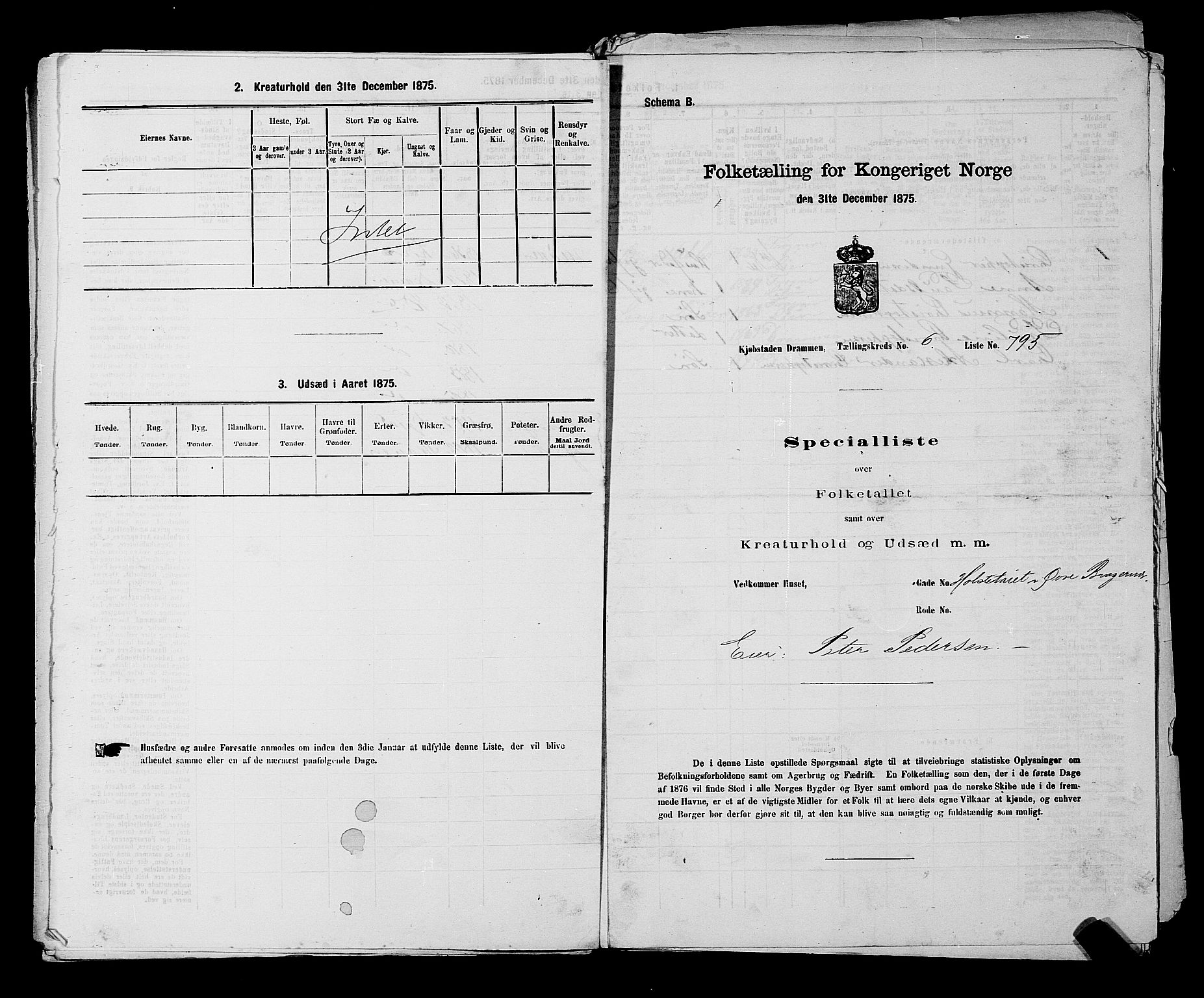SAKO, 1875 census for 0602 Drammen, 1875, p. 612