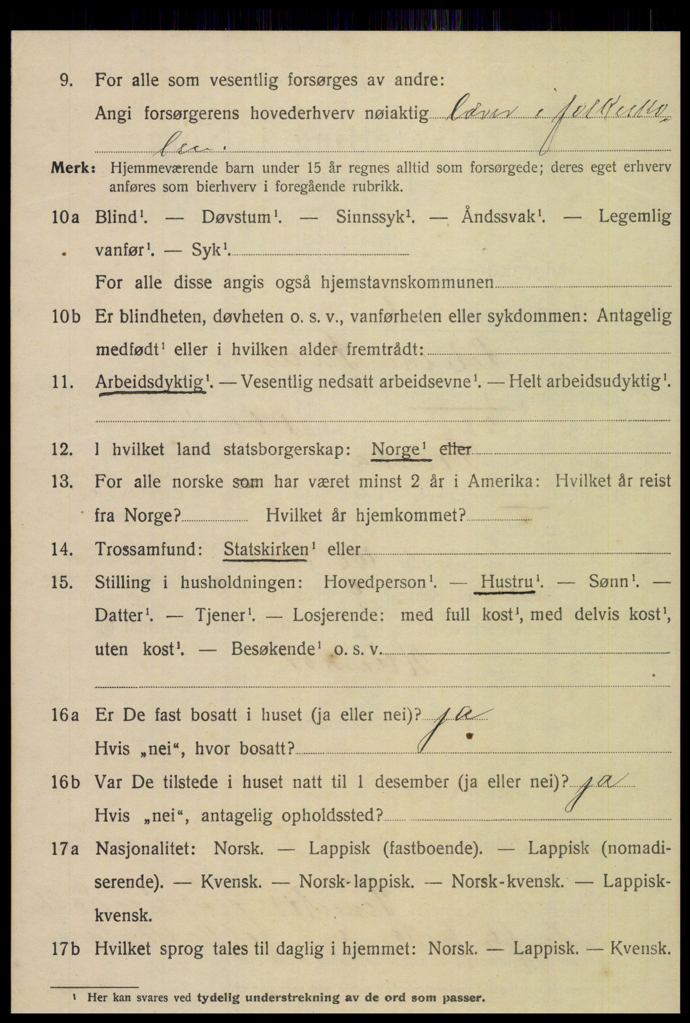 SAT, 1920 census for Meråker, 1920, p. 851