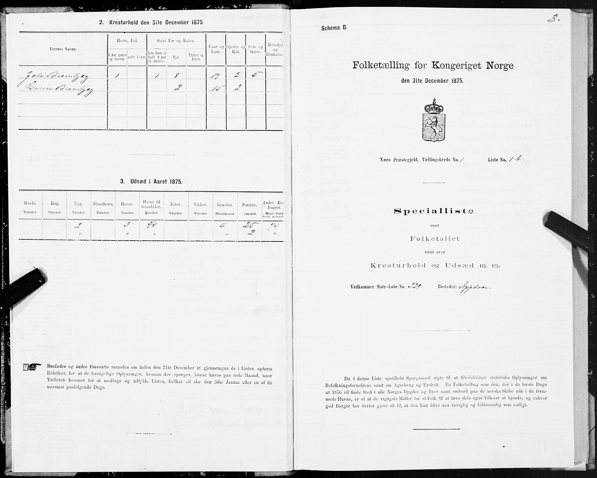 SAT, 1875 census for 1751P Nærøy, 1875, p. 1003