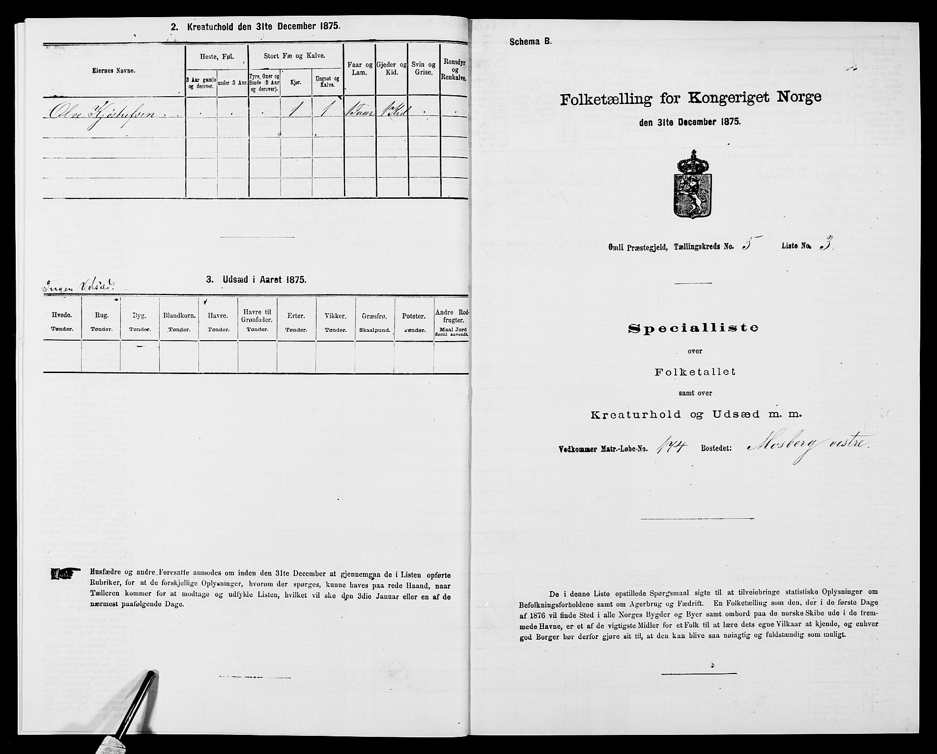 SAK, 1875 census for 0929P Åmli, 1875, p. 400