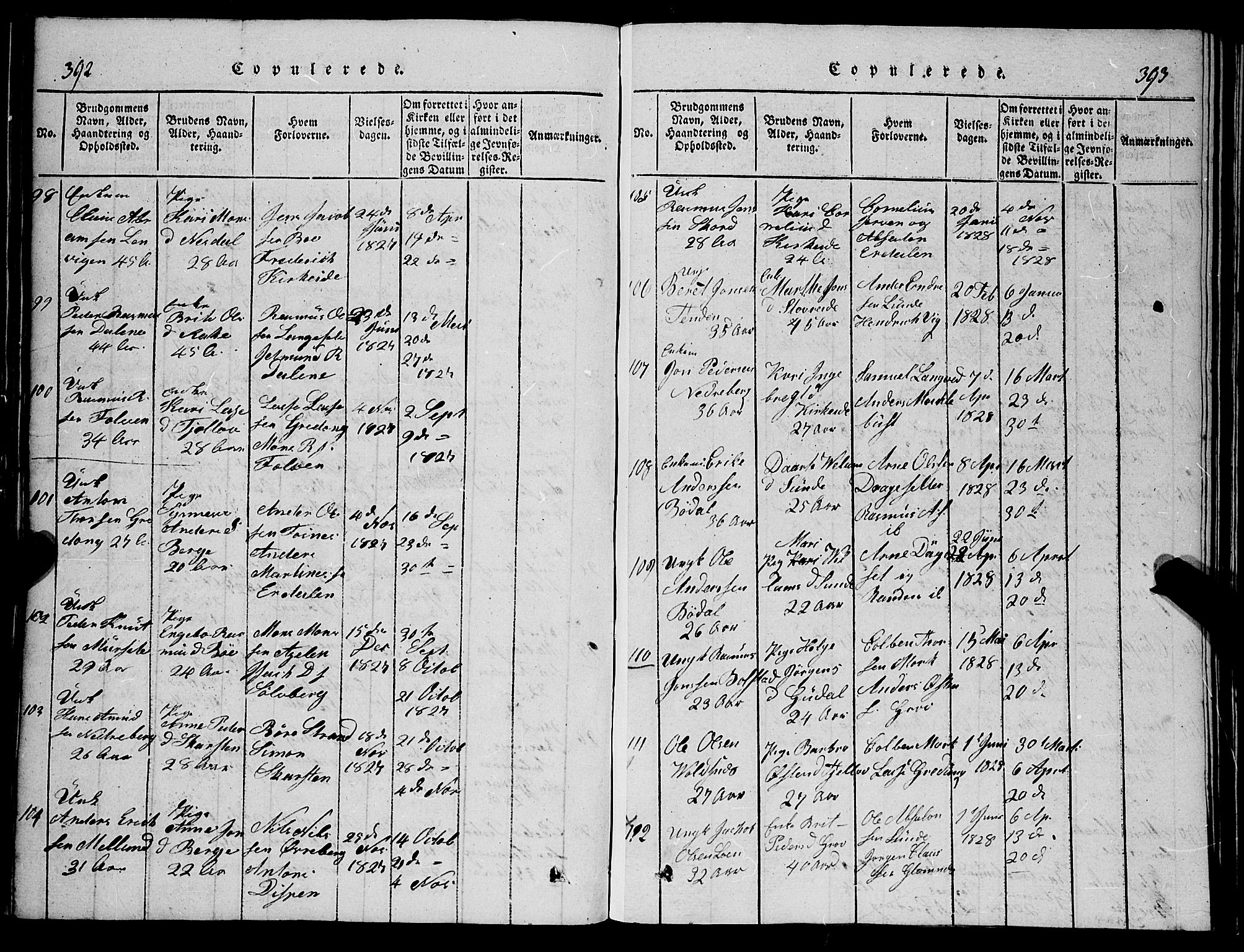 Stryn Sokneprestembete, SAB/A-82501: Parish register (copy) no. C 1, 1801-1845, p. 392-393