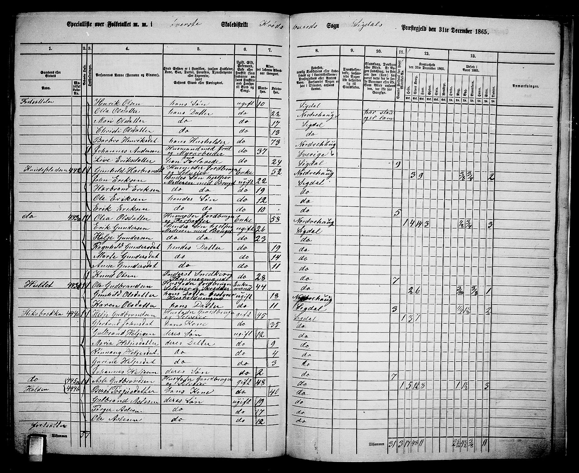 RA, 1865 census for Sigdal, 1865, p. 266