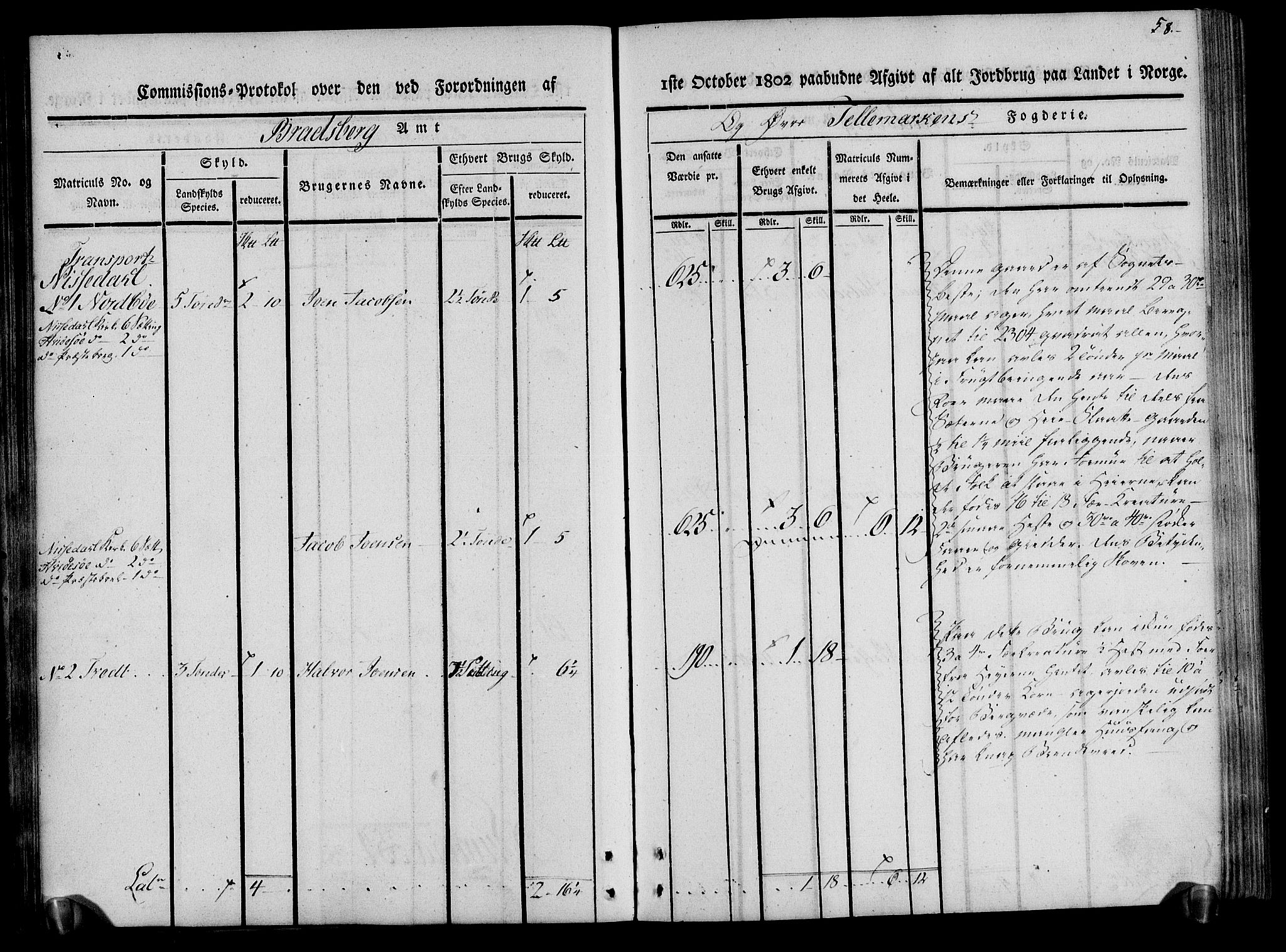 Rentekammeret inntil 1814, Realistisk ordnet avdeling, RA/EA-4070/N/Ne/Nea/L0075: Øvre Telemarken fogderi. Kommisjonsprotokoll for fogderiets vestre del - Kviteseid, Vinje, Moland [):Fyresdal] og Lårdal prestegjeld., 1803, p. 58