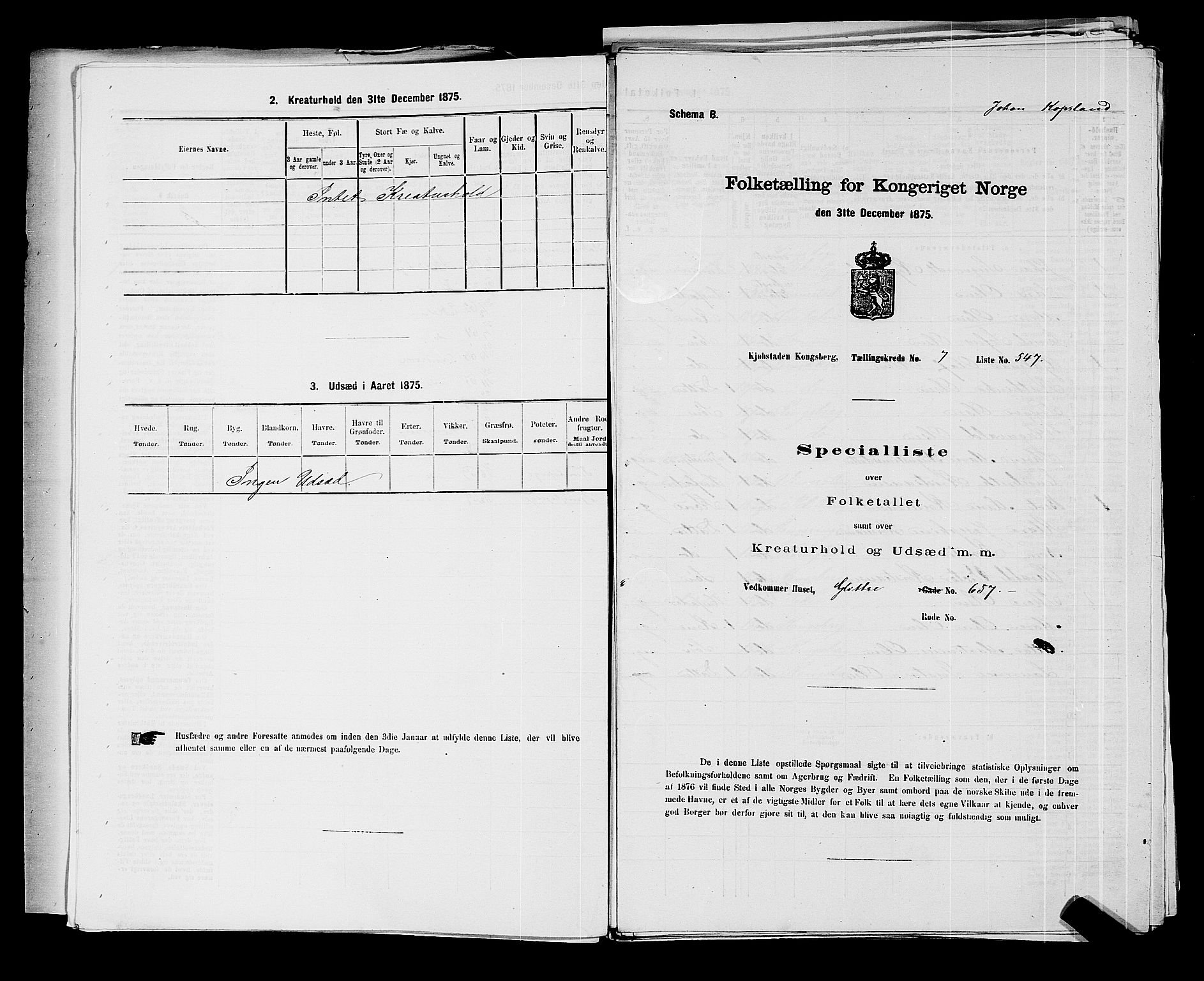 SAKO, 1875 census for 0604B Kongsberg/Kongsberg, 1875, p. 1209