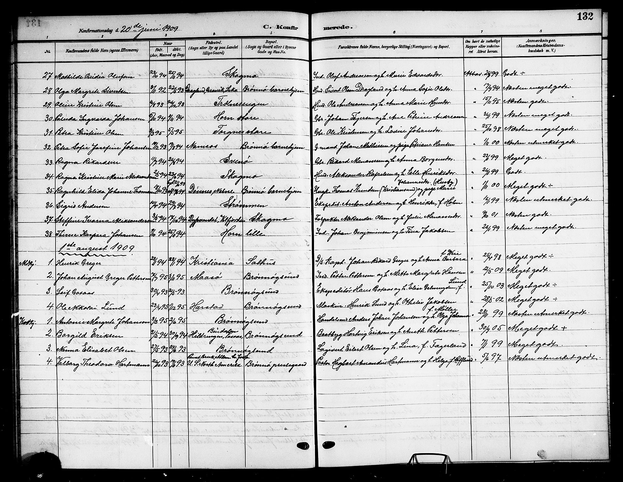 Ministerialprotokoller, klokkerbøker og fødselsregistre - Nordland, SAT/A-1459/813/L0214: Parish register (copy) no. 813C06, 1904-1917, p. 132