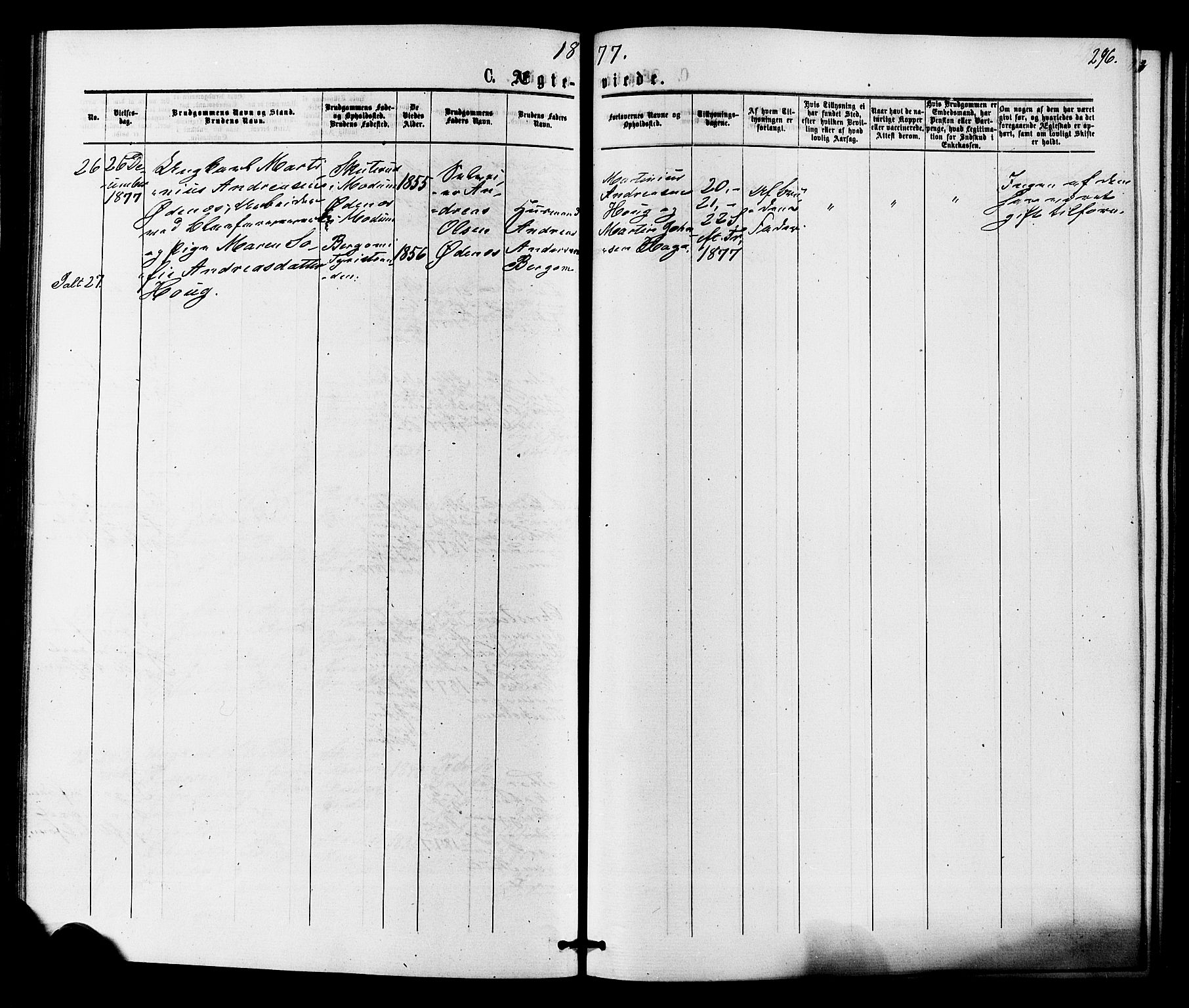 Hole kirkebøker, SAKO/A-228/F/Fa/L0007: Parish register (official) no. I 7, 1873-1877, p. 296