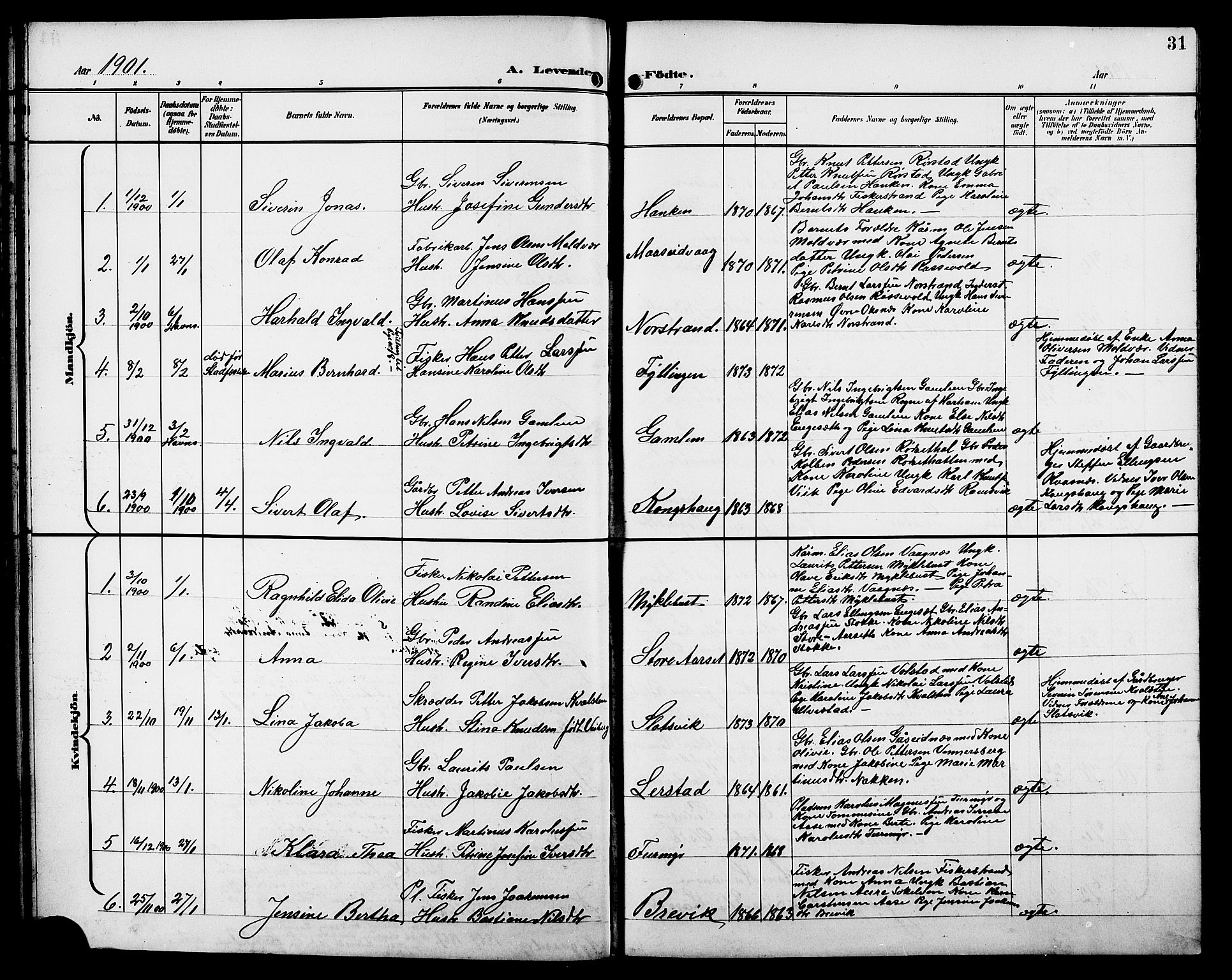 Ministerialprotokoller, klokkerbøker og fødselsregistre - Møre og Romsdal, SAT/A-1454/528/L0432: Parish register (copy) no. 528C13, 1898-1918, p. 31