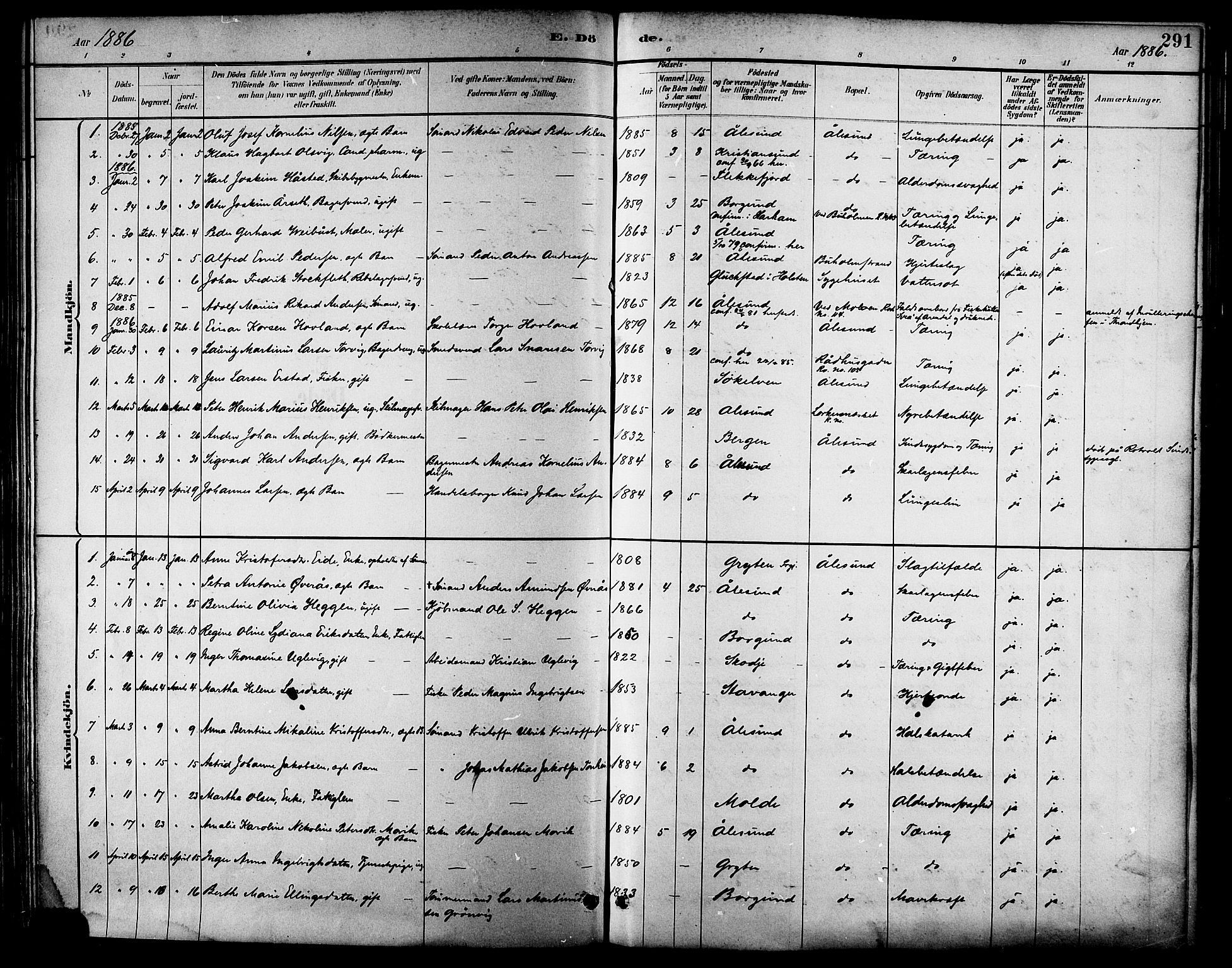 Ministerialprotokoller, klokkerbøker og fødselsregistre - Møre og Romsdal, SAT/A-1454/529/L0455: Parish register (official) no. 529A05, 1885-1893, p. 291