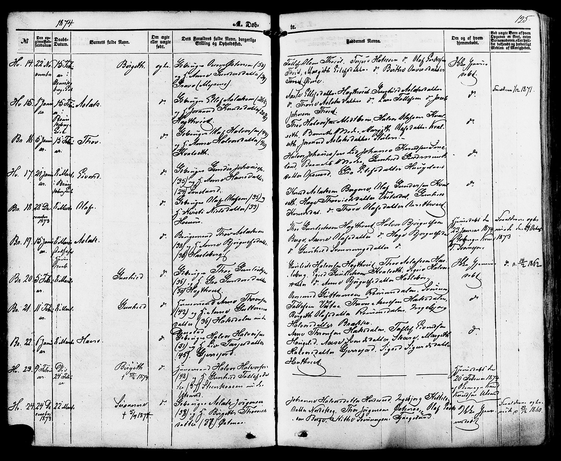 Kviteseid kirkebøker, AV/SAKO-A-276/F/Fa/L0007: Parish register (official) no. I 7, 1859-1881, p. 125