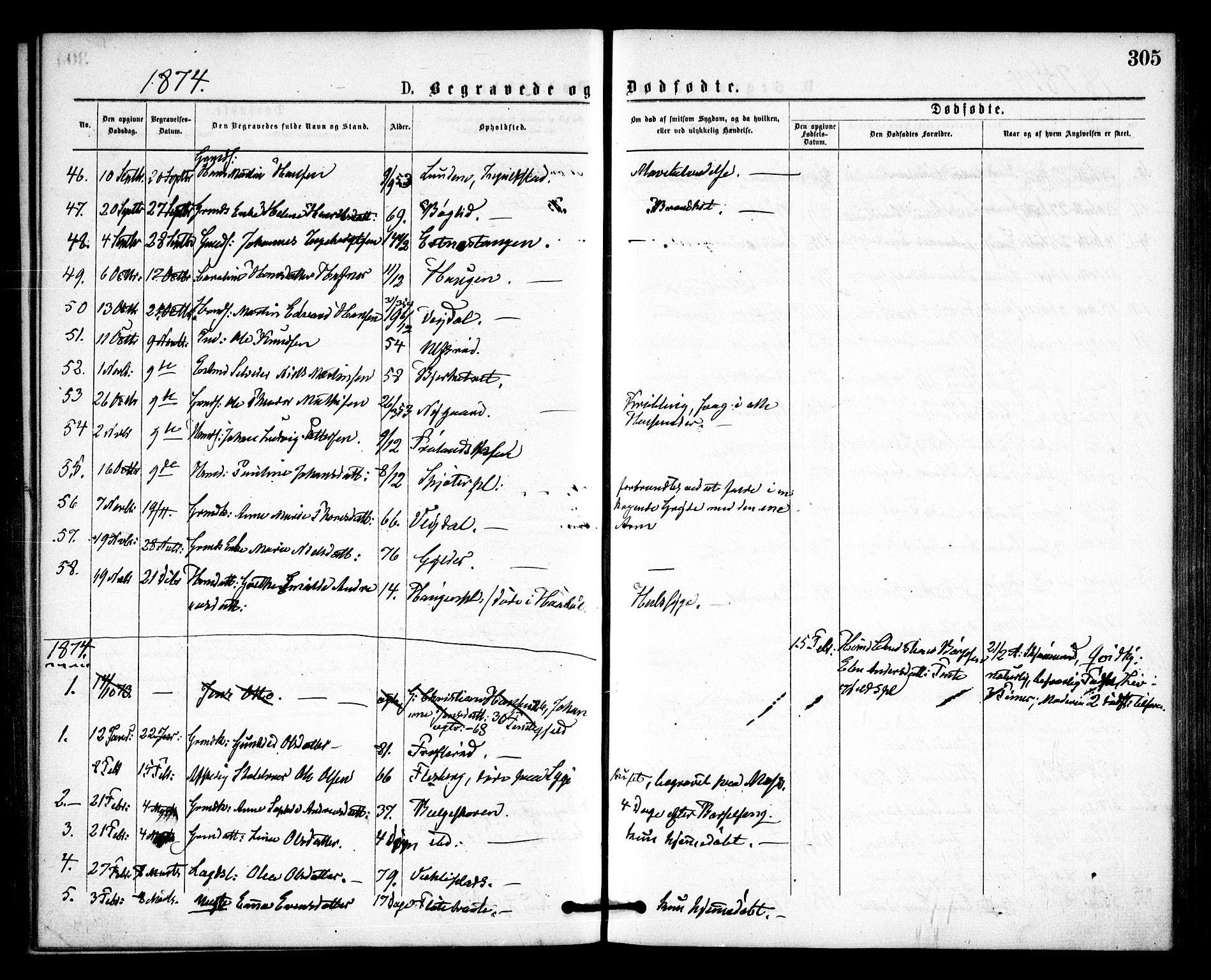 Våler prestekontor Kirkebøker, SAO/A-11083/F/Fa/L0009: Parish register (official) no. I 9, 1873-1877, p. 305