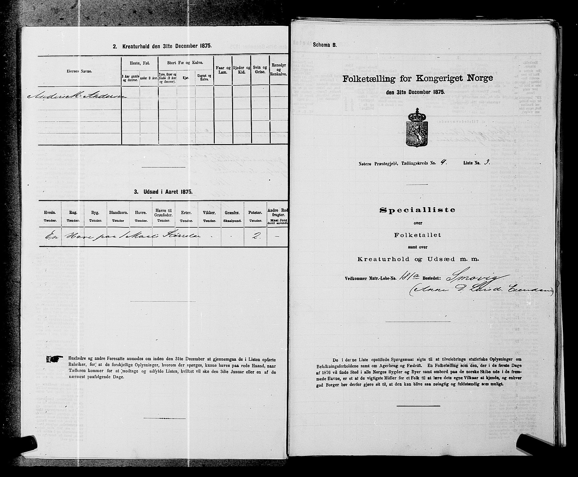 SAKO, 1875 census for 0722P Nøtterøy, 1875, p. 1739