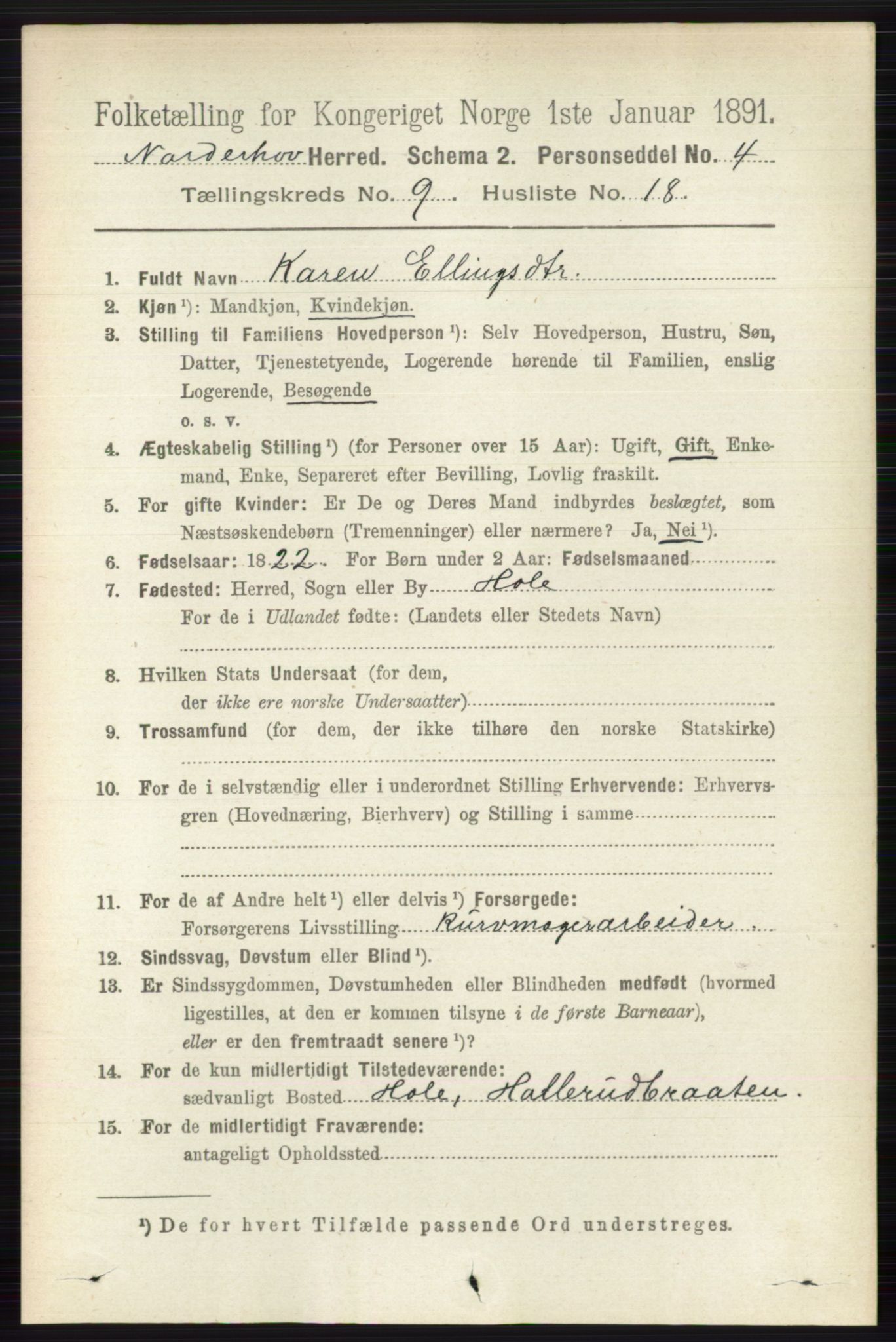 RA, 1891 census for 0613 Norderhov, 1891, p. 6718