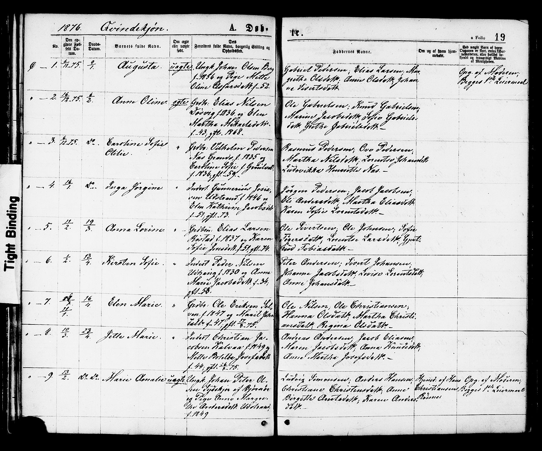 Ministerialprotokoller, klokkerbøker og fødselsregistre - Sør-Trøndelag, SAT/A-1456/659/L0738: Parish register (official) no. 659A08, 1876-1878, p. 19